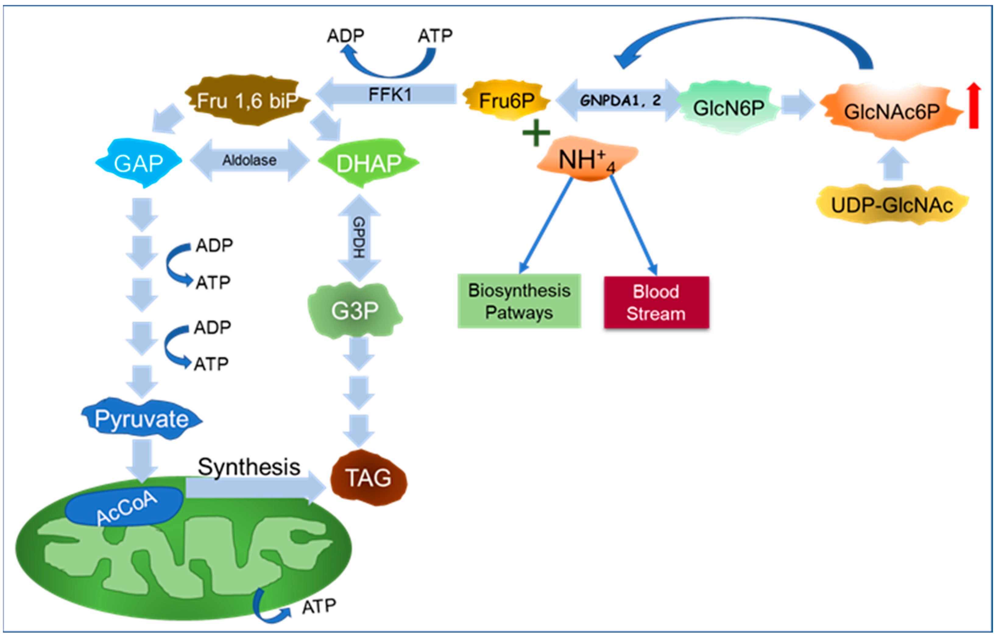 Ijms 25 12054 g002 Ijms 25 12054 g002