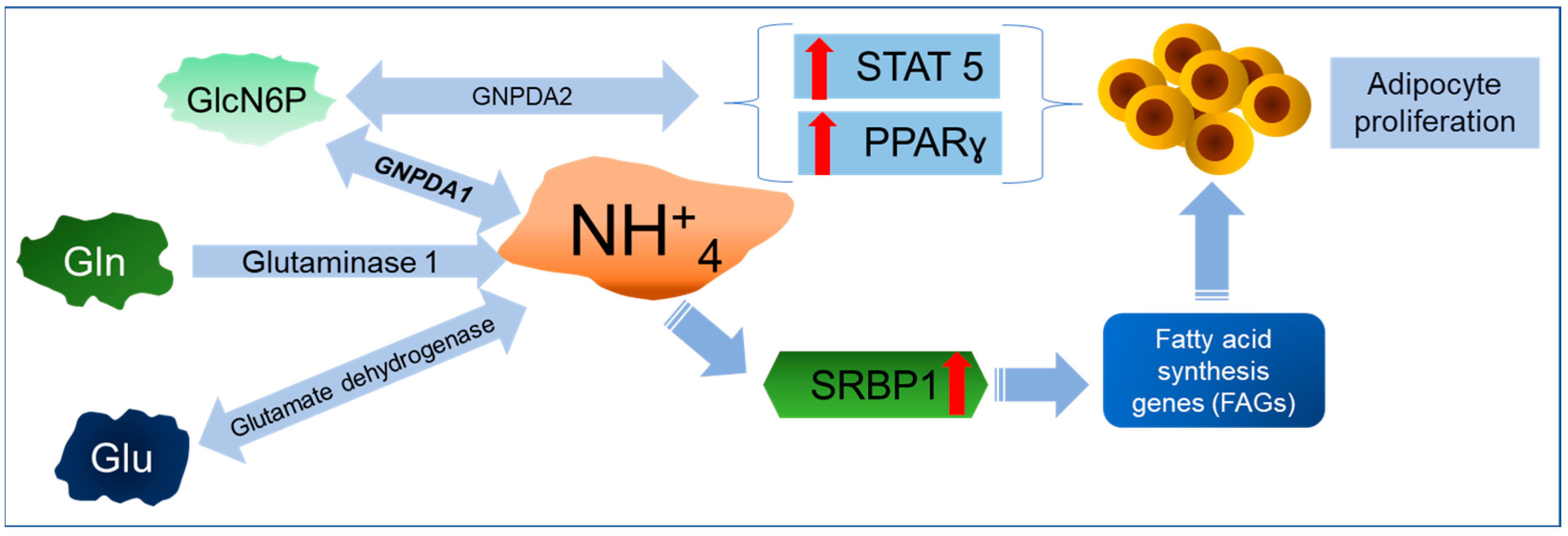 Ijms 25 12054 g003 Ijms 25 12054 g003