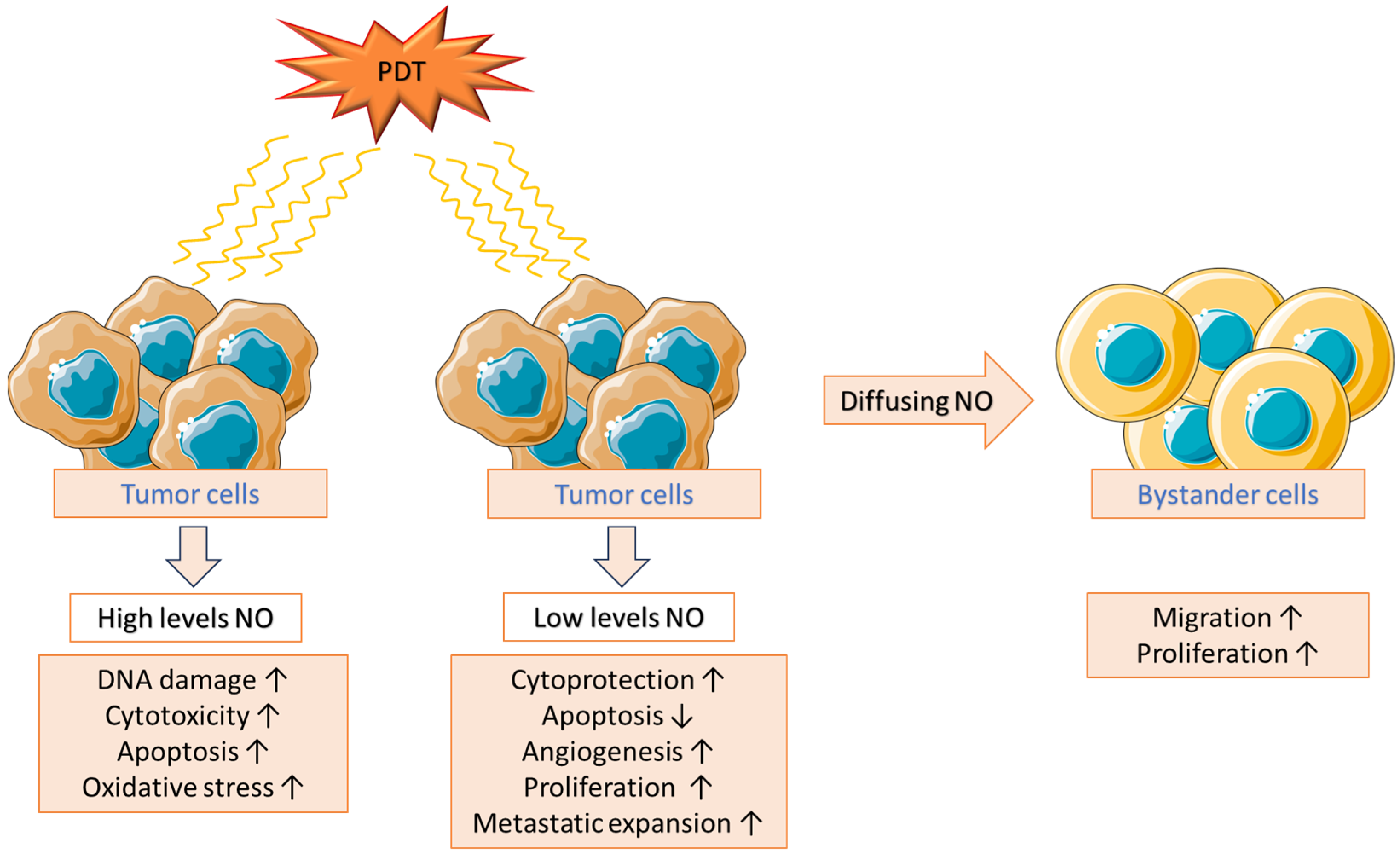 Ijms 25 12069 g004 Ijms 25 12069 g004