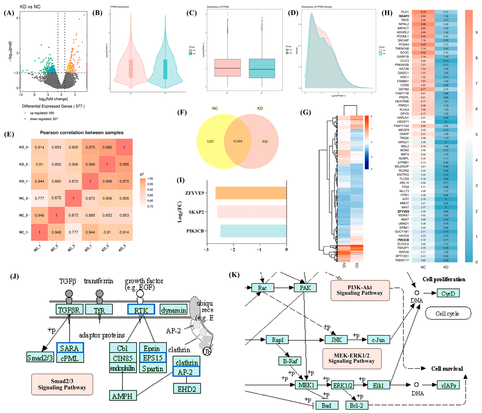 Ijms 25 12111 g003 Ijms 25 12111 g003