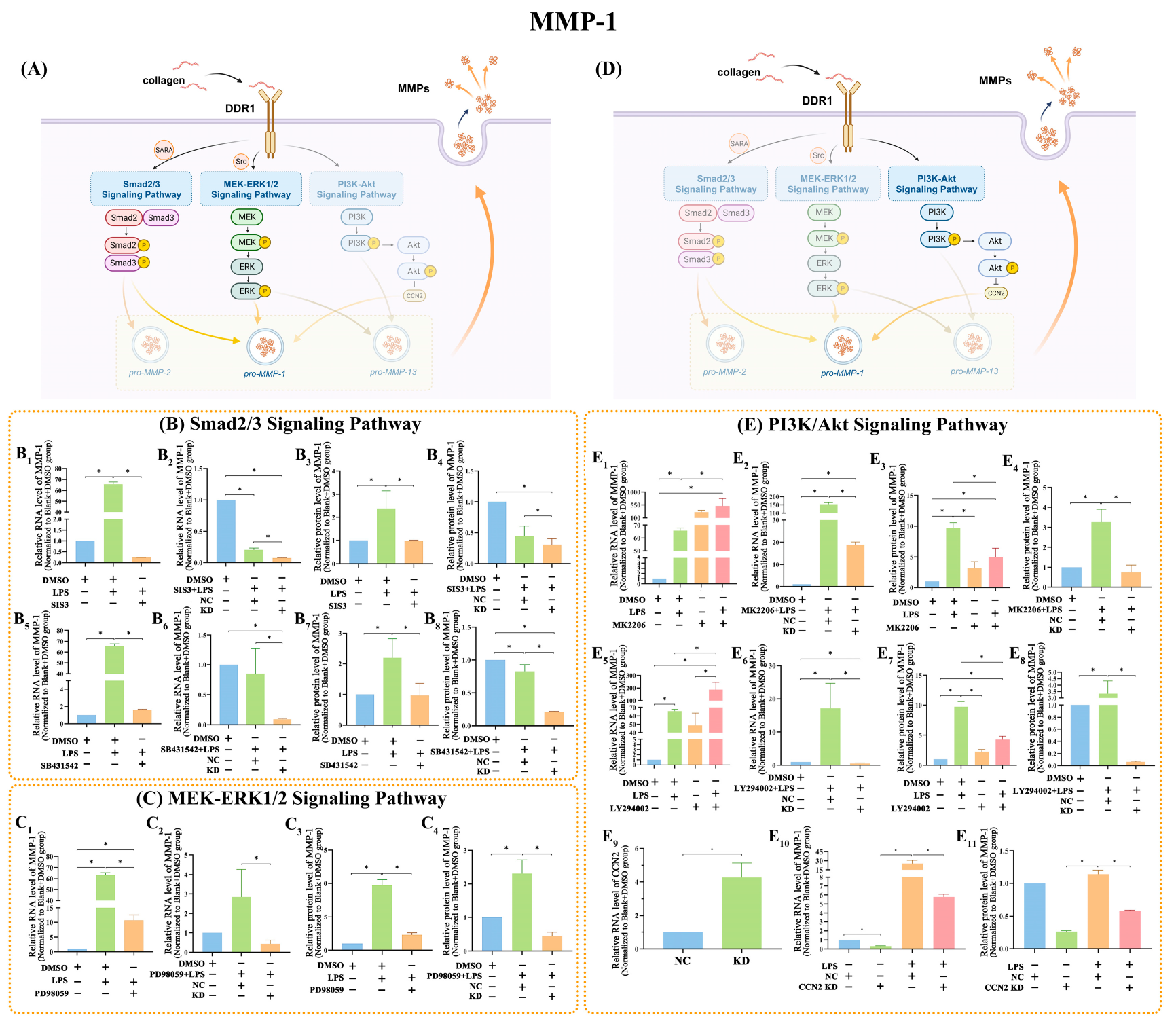 Ijms 25 12111 g005 Ijms 25 12111 g005