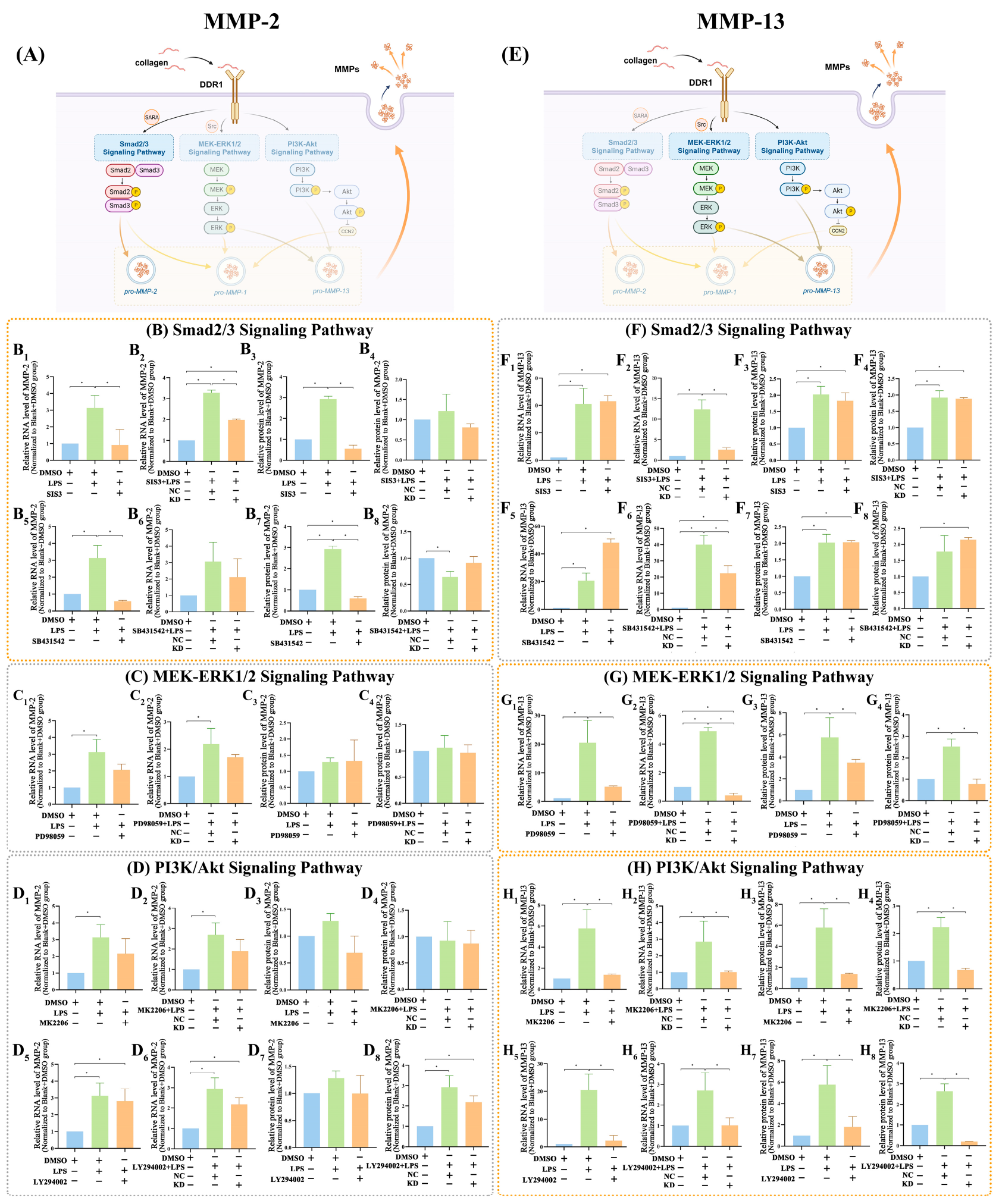 Ijms 25 12111 g006 Ijms 25 12111 g006