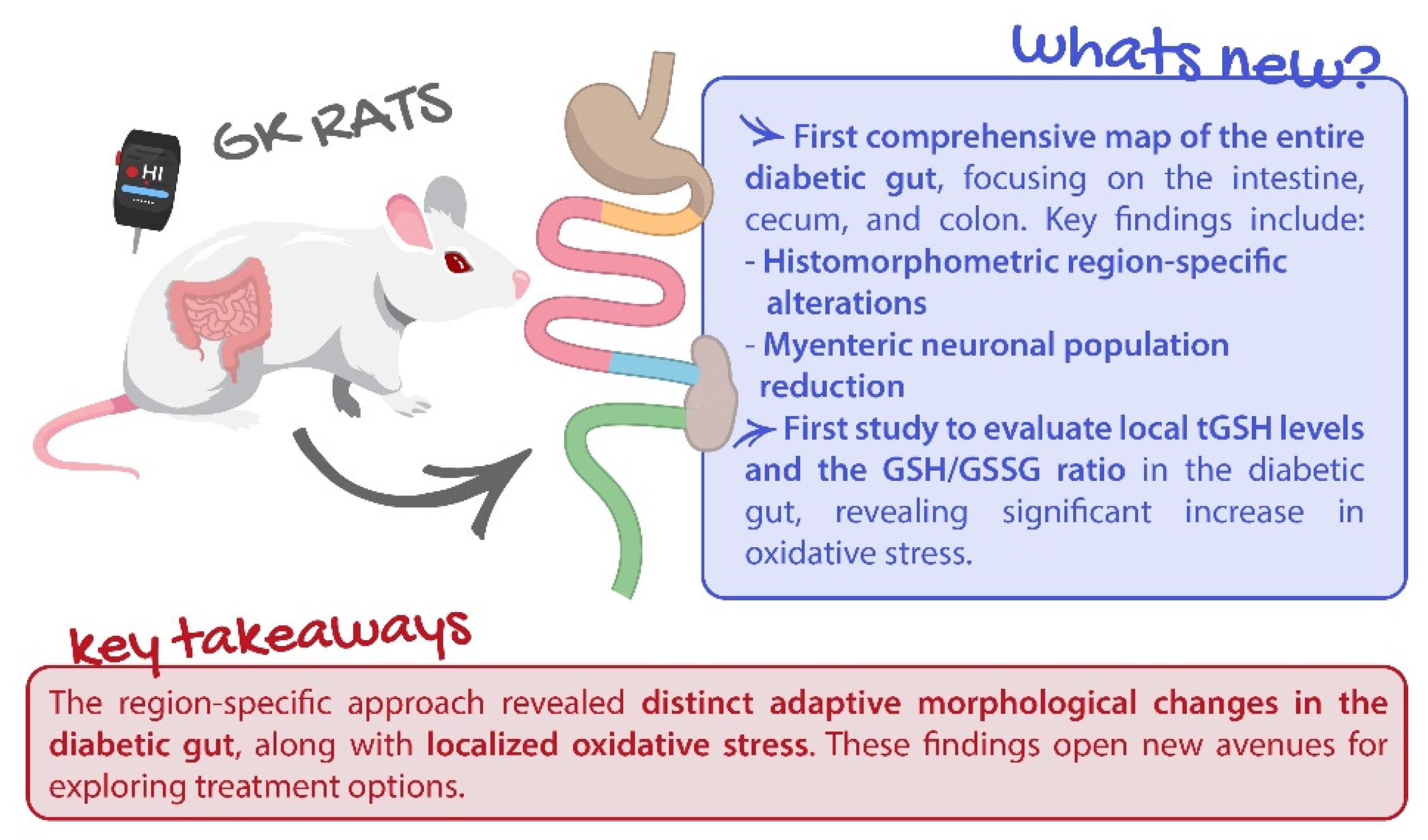 Ijms 25 12115 g009 Ijms 25 12115 g009