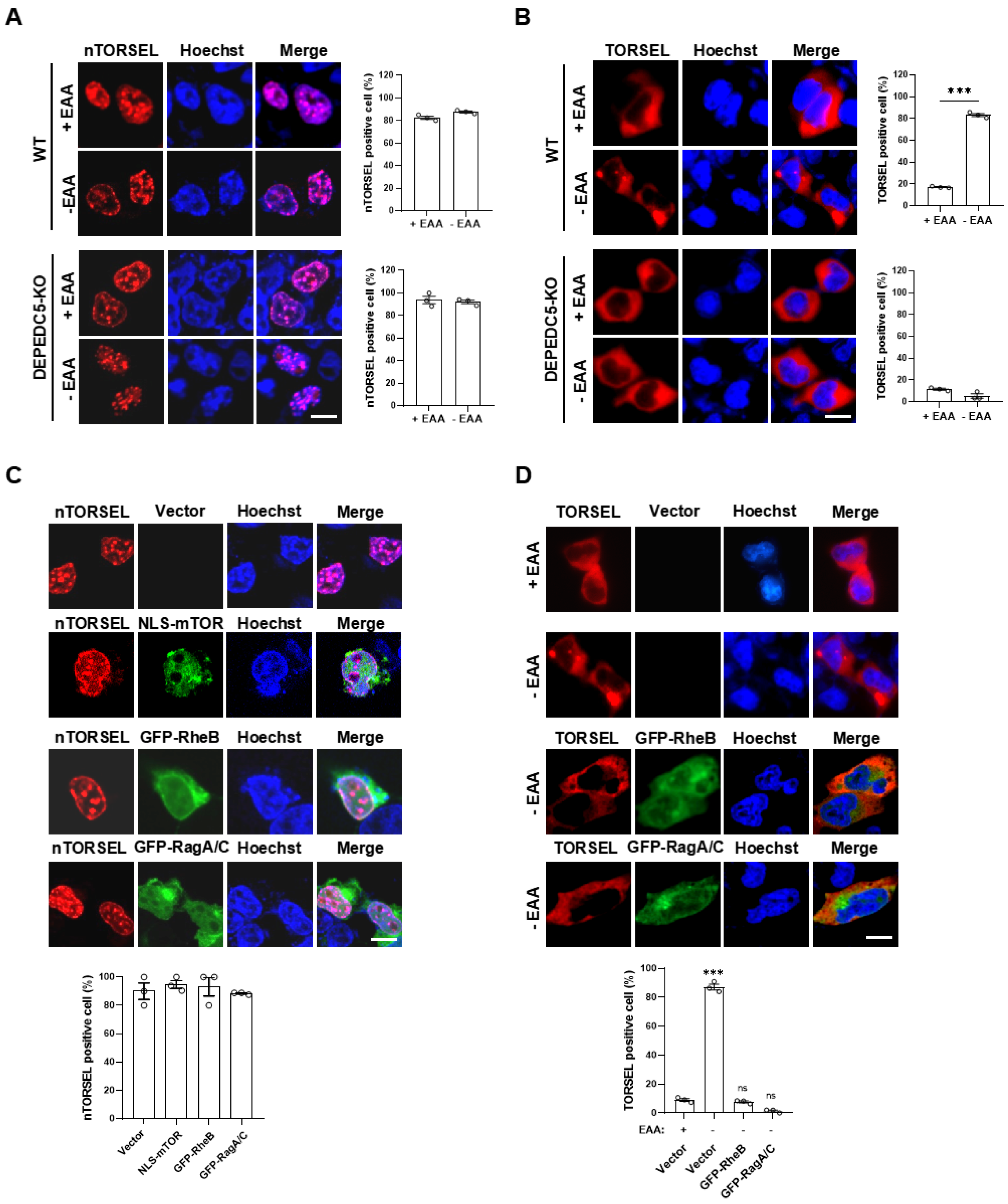 Ijms 25 12117 g004 Ijms 25 12117 g004