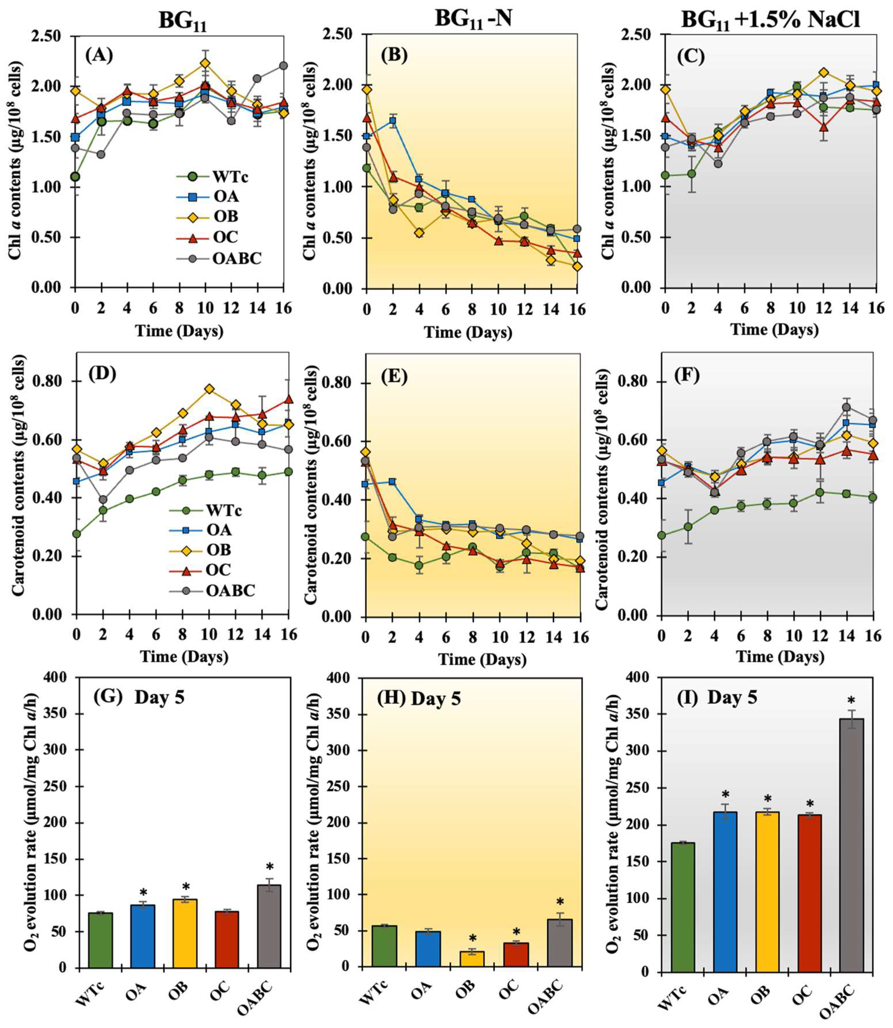 Ijms 25 12131 g004 Ijms 25 12131 g004