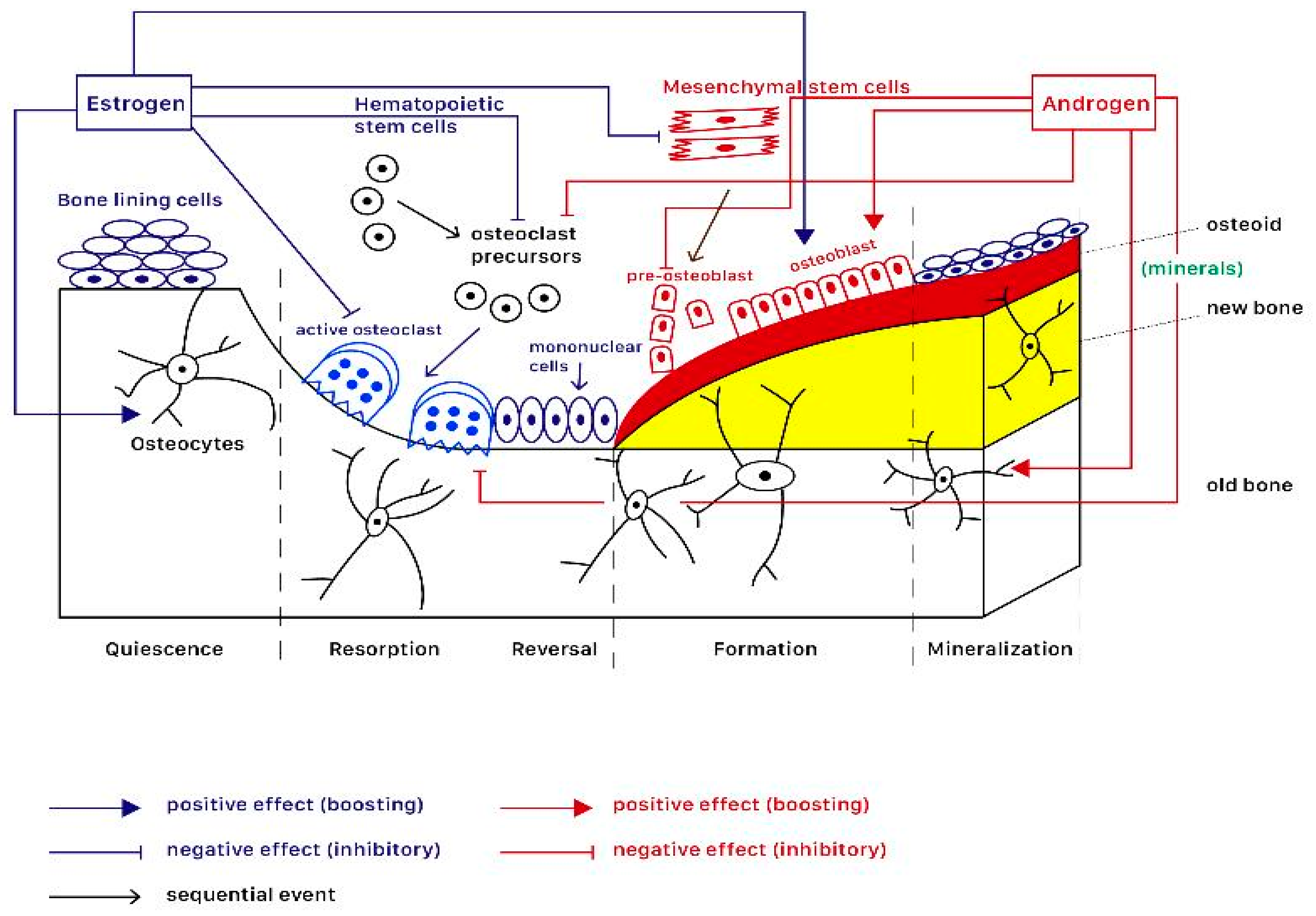 Ijms 25 12139 g001 Ijms 25 12139 g001