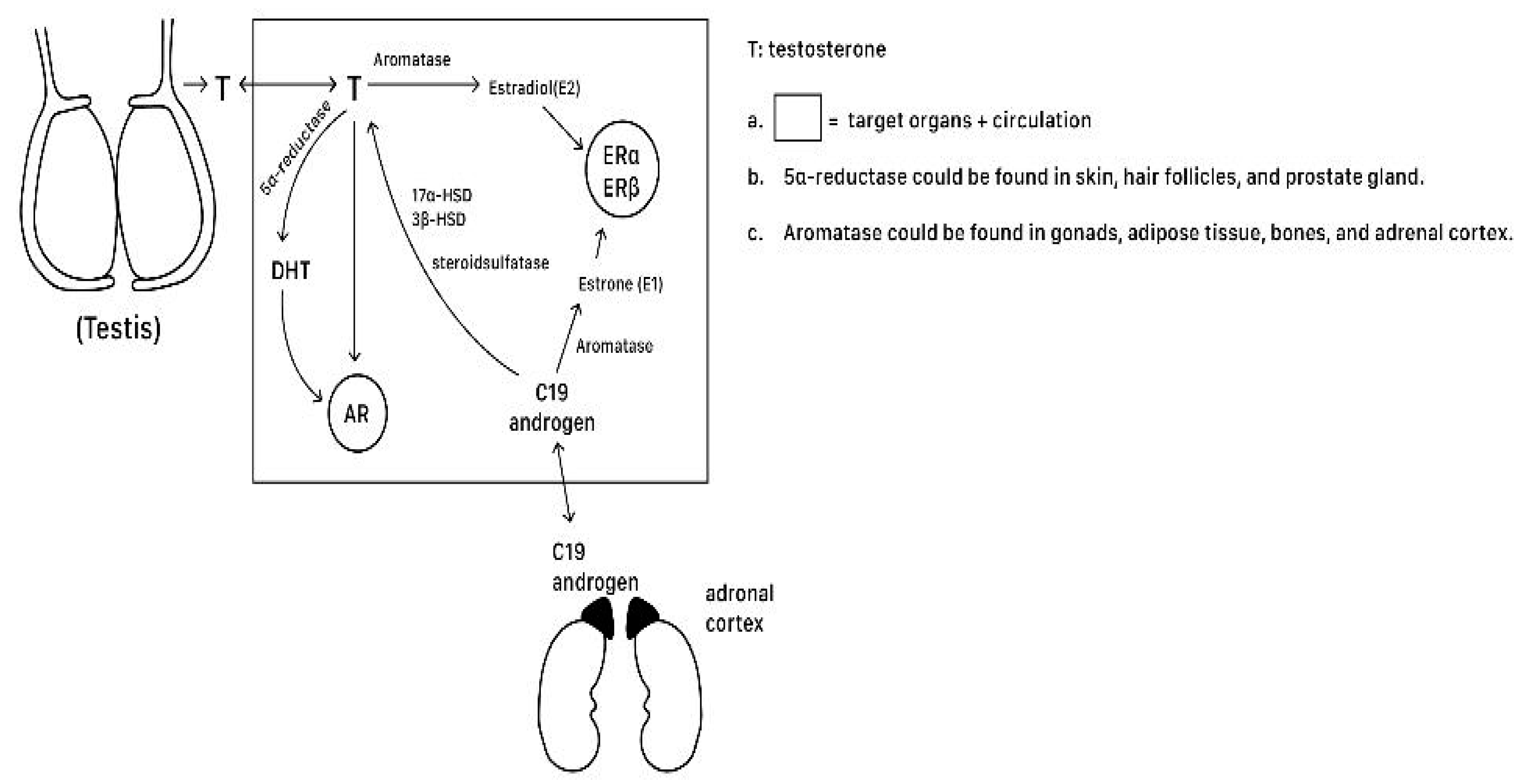 Ijms 25 12139 g002 Ijms 25 12139 g002