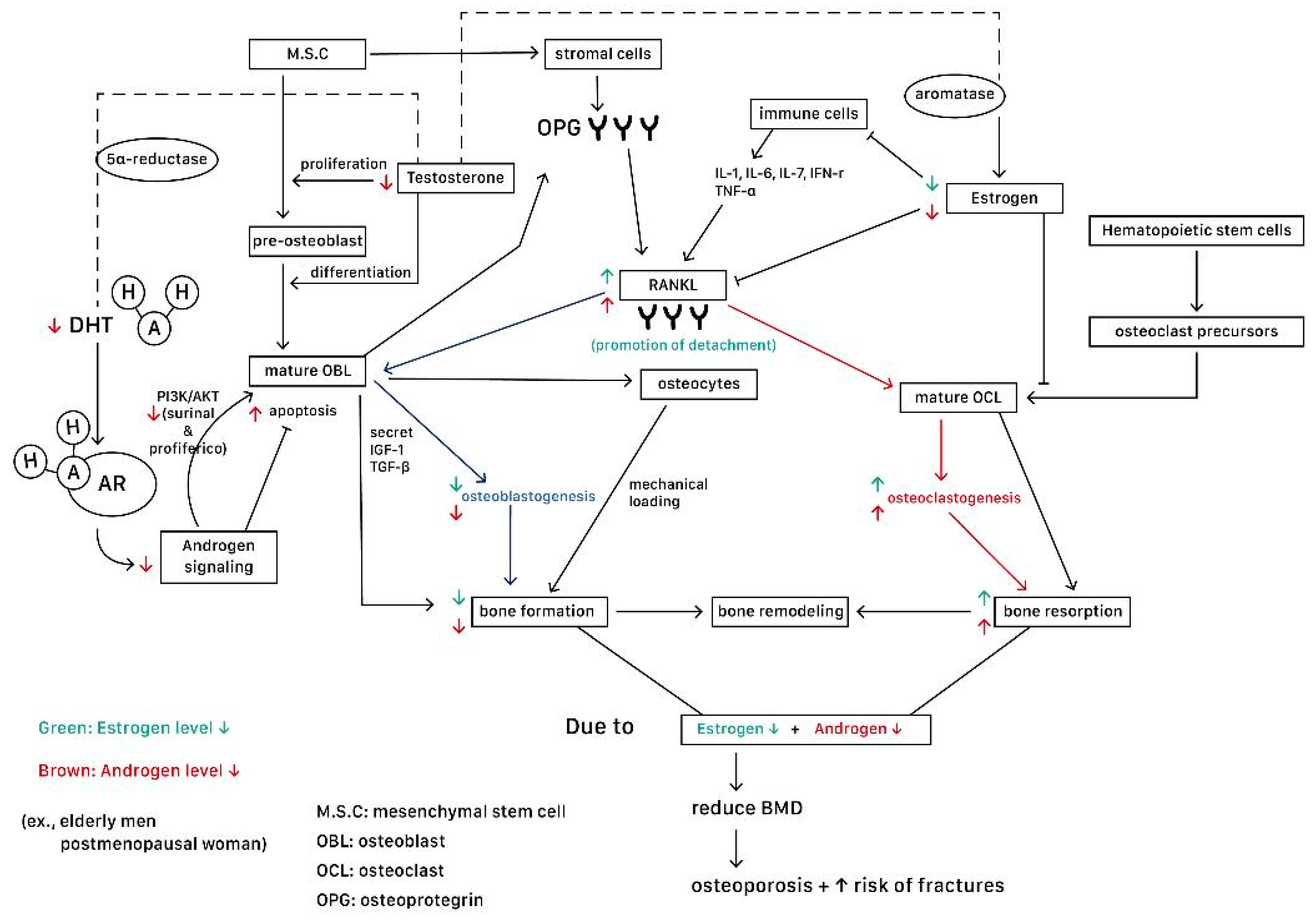 Ijms 25 12139 g003 Ijms 25 12139 g003