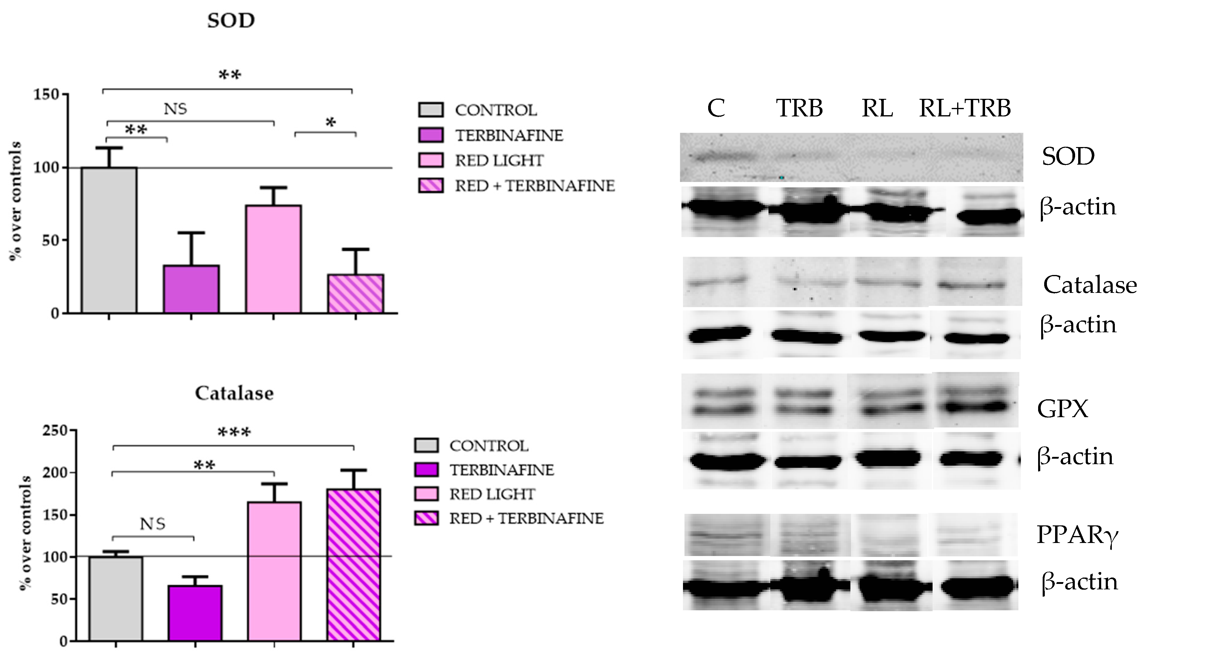 Ijms 25 12145 g004a Ijms 25 12145 g004a