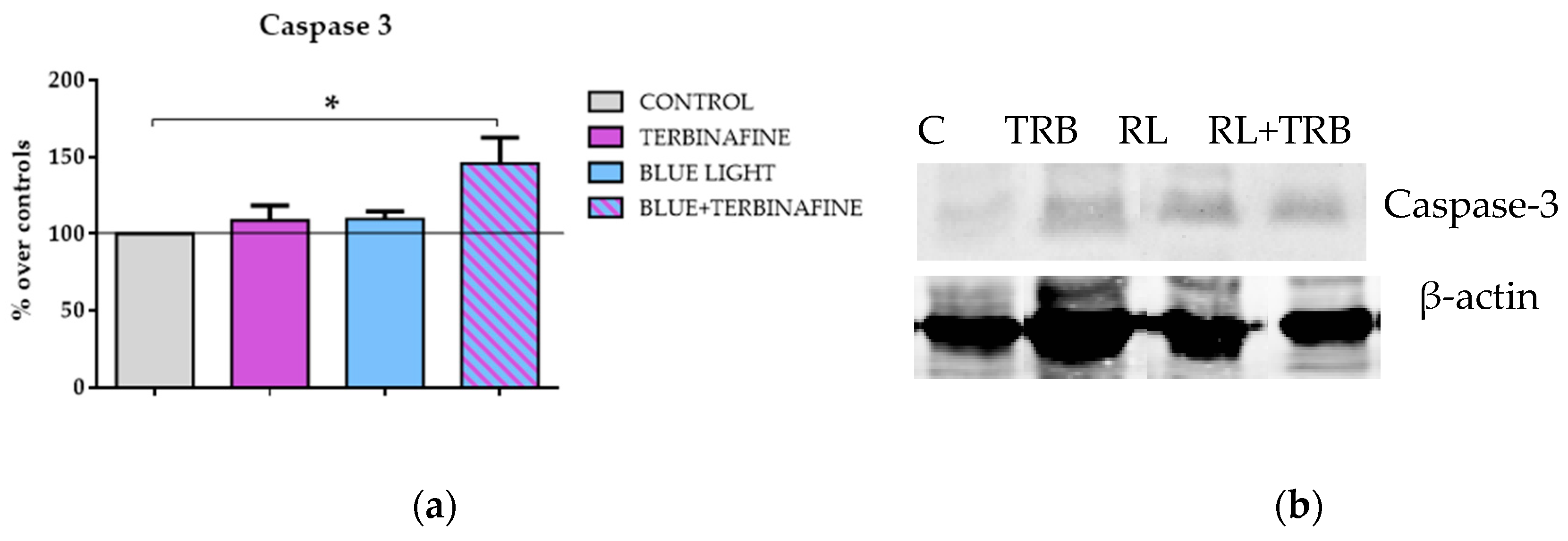 Ijms 25 12145 g005a Ijms 25 12145 g005a