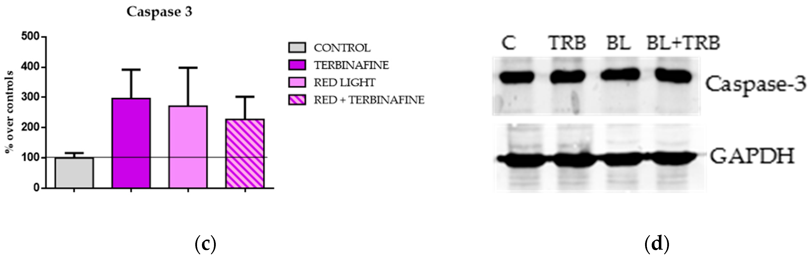 Ijms 25 12145 g005b Ijms 25 12145 g005b