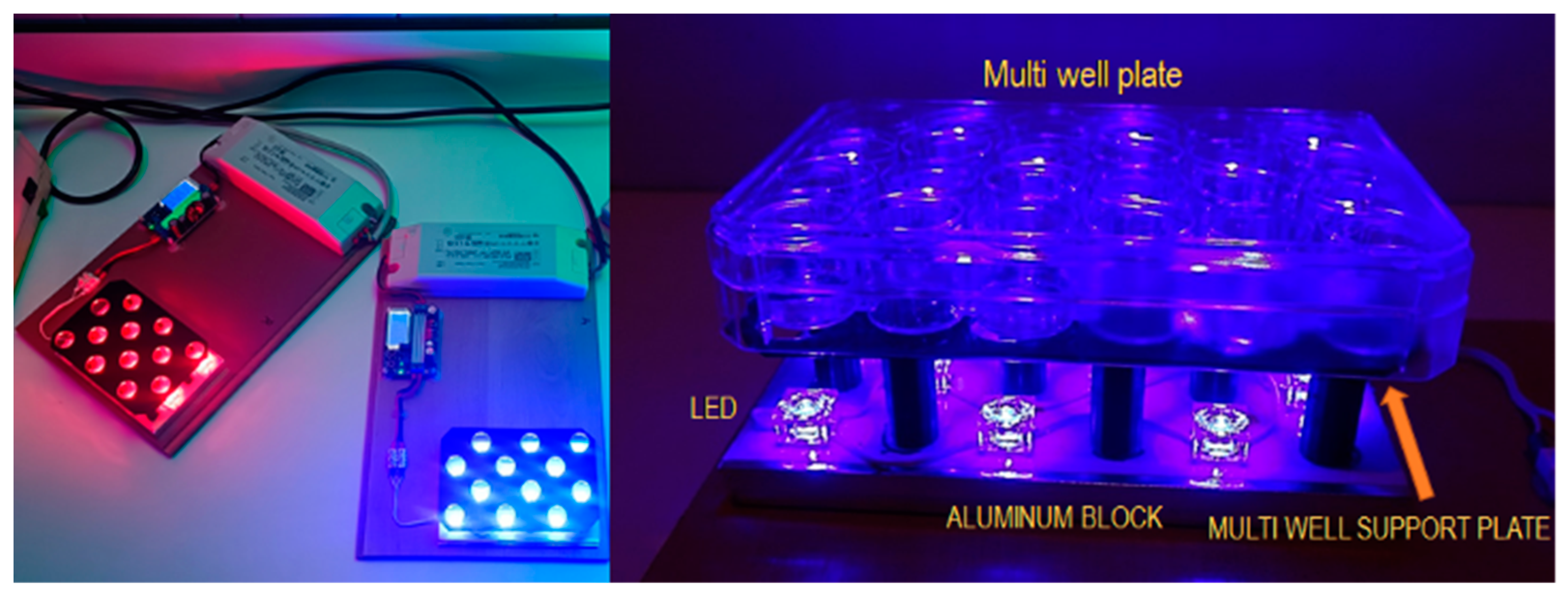 Ijms 25 12145 g007 Ijms 25 12145 g007