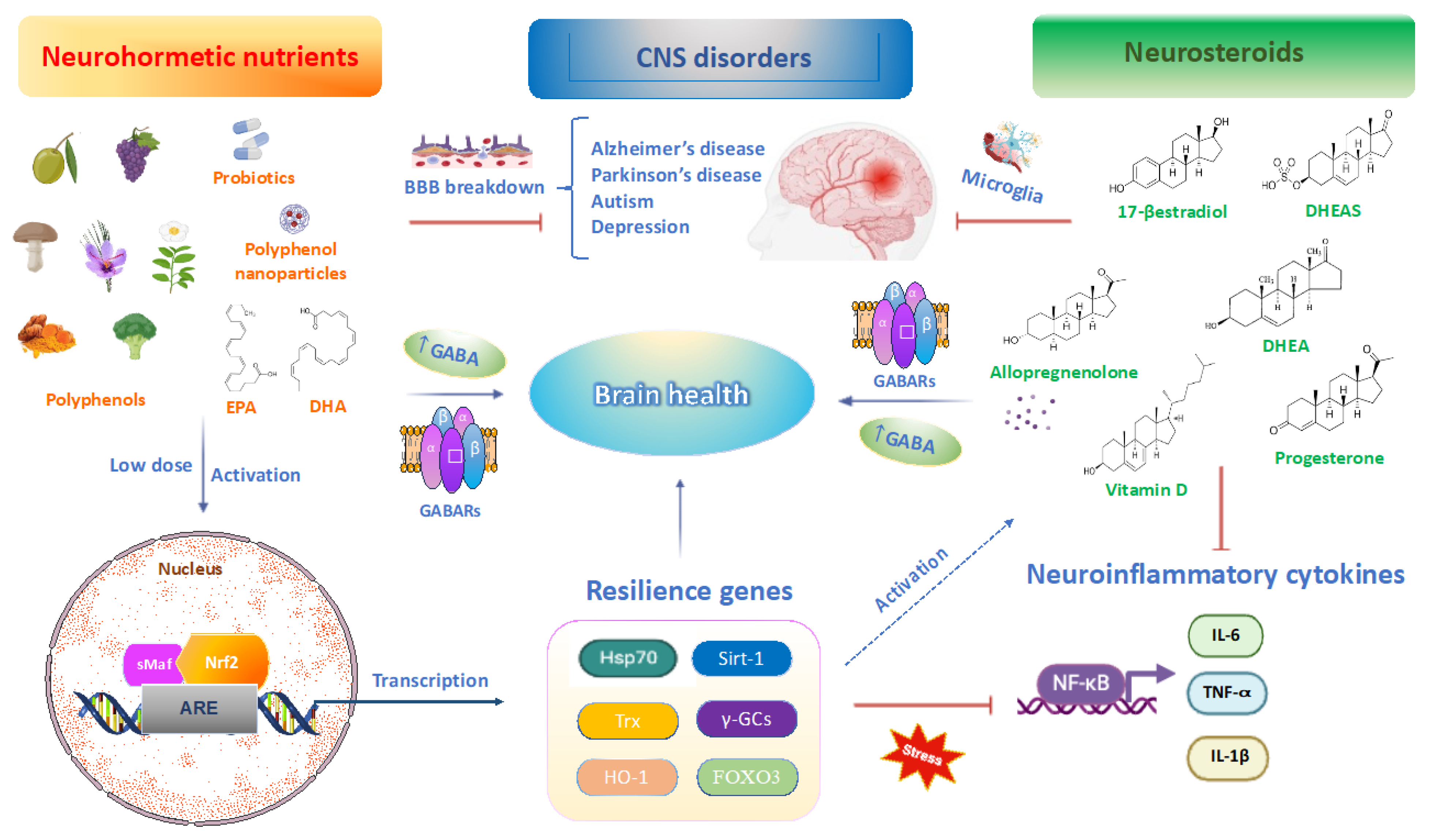 Ijms 25 12155 g001 Ijms 25 12155 g001