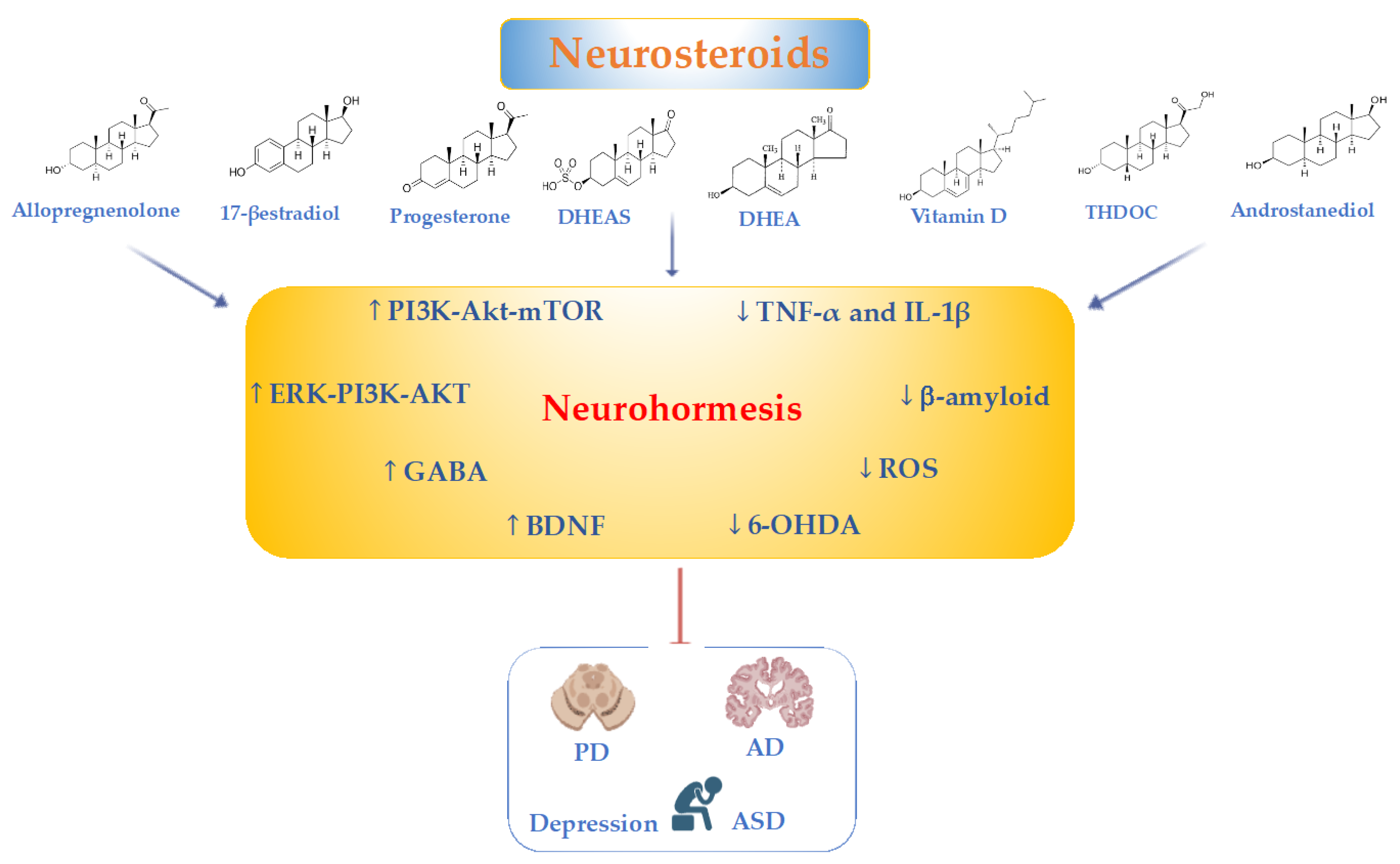 Ijms 25 12155 g002 Ijms 25 12155 g002