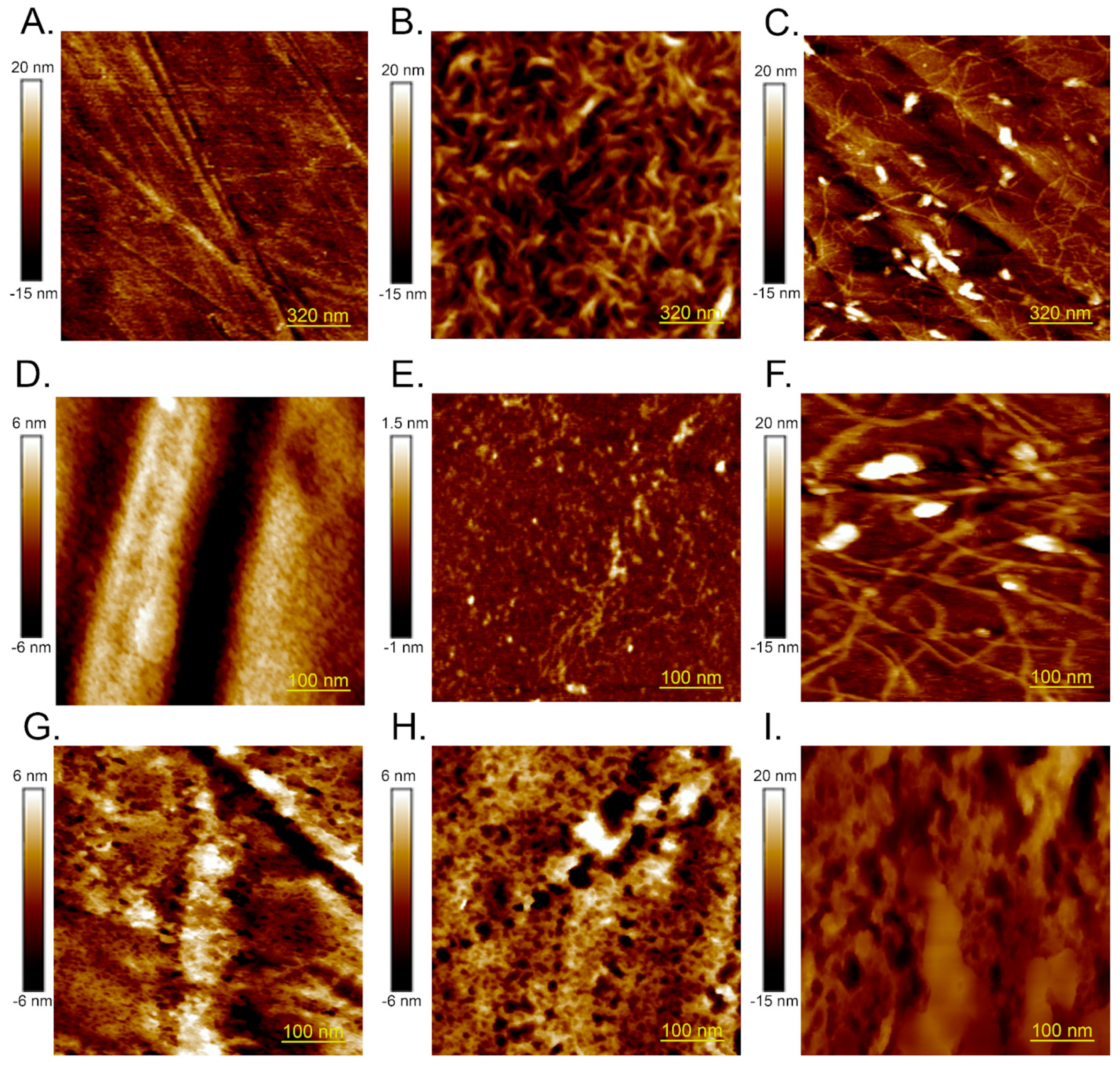 Ijms 25 12178 g002 Ijms 25 12178 g002