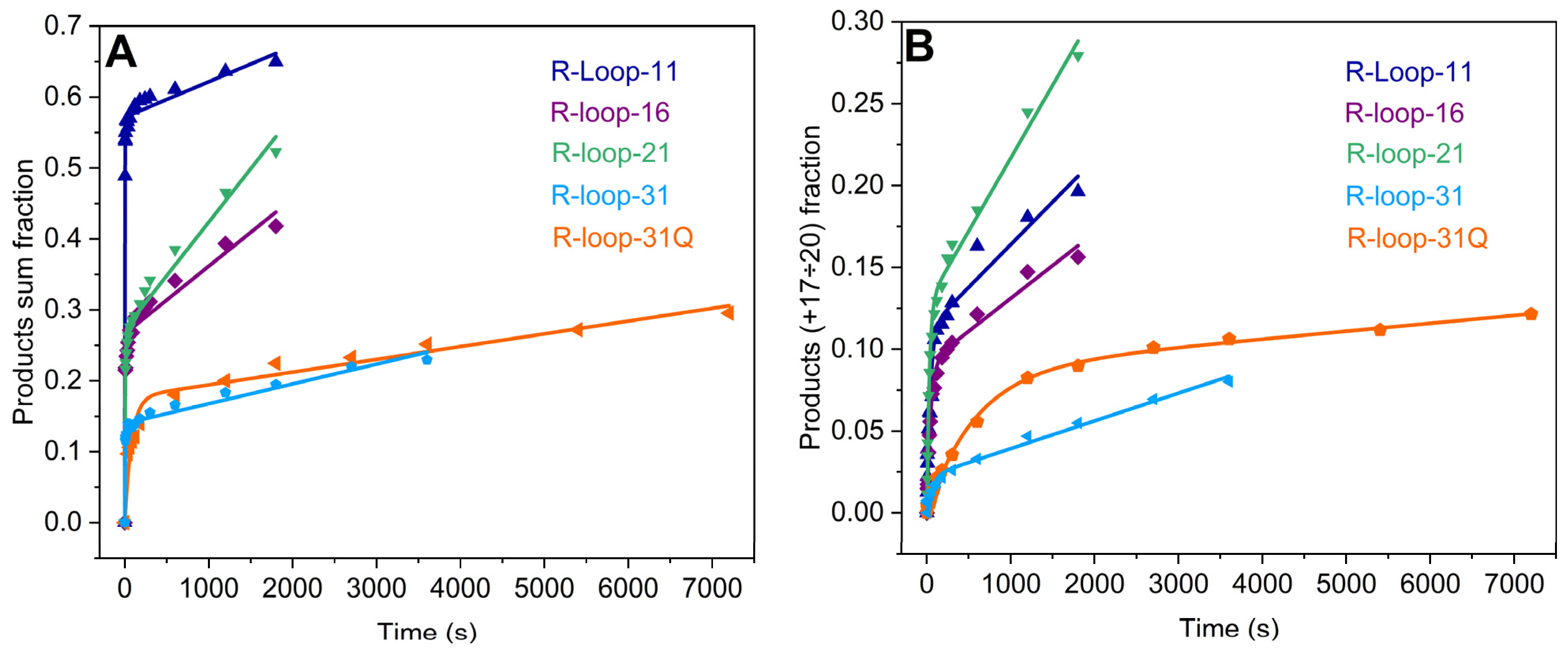 Ijms 25 12190 g007 Ijms 25 12190 g007