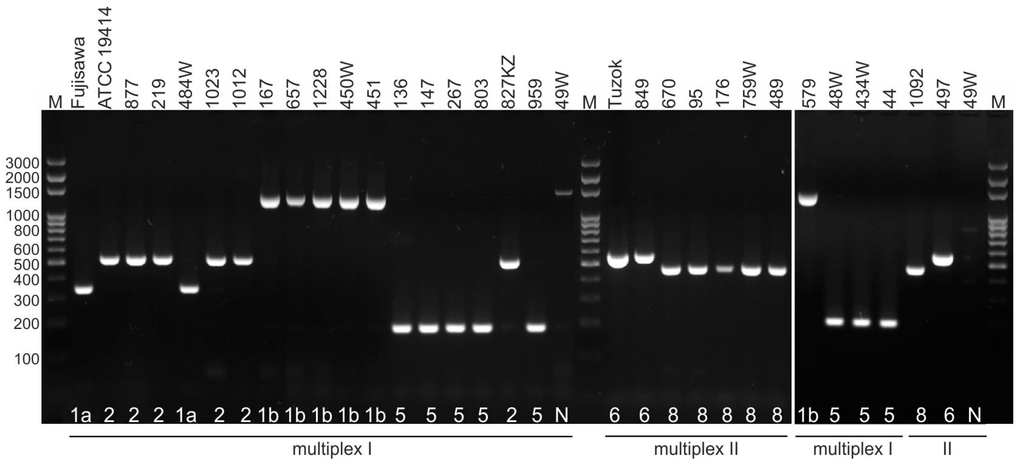 Ijms 25 12192 g0a1 Ijms 25 12192 g0a1