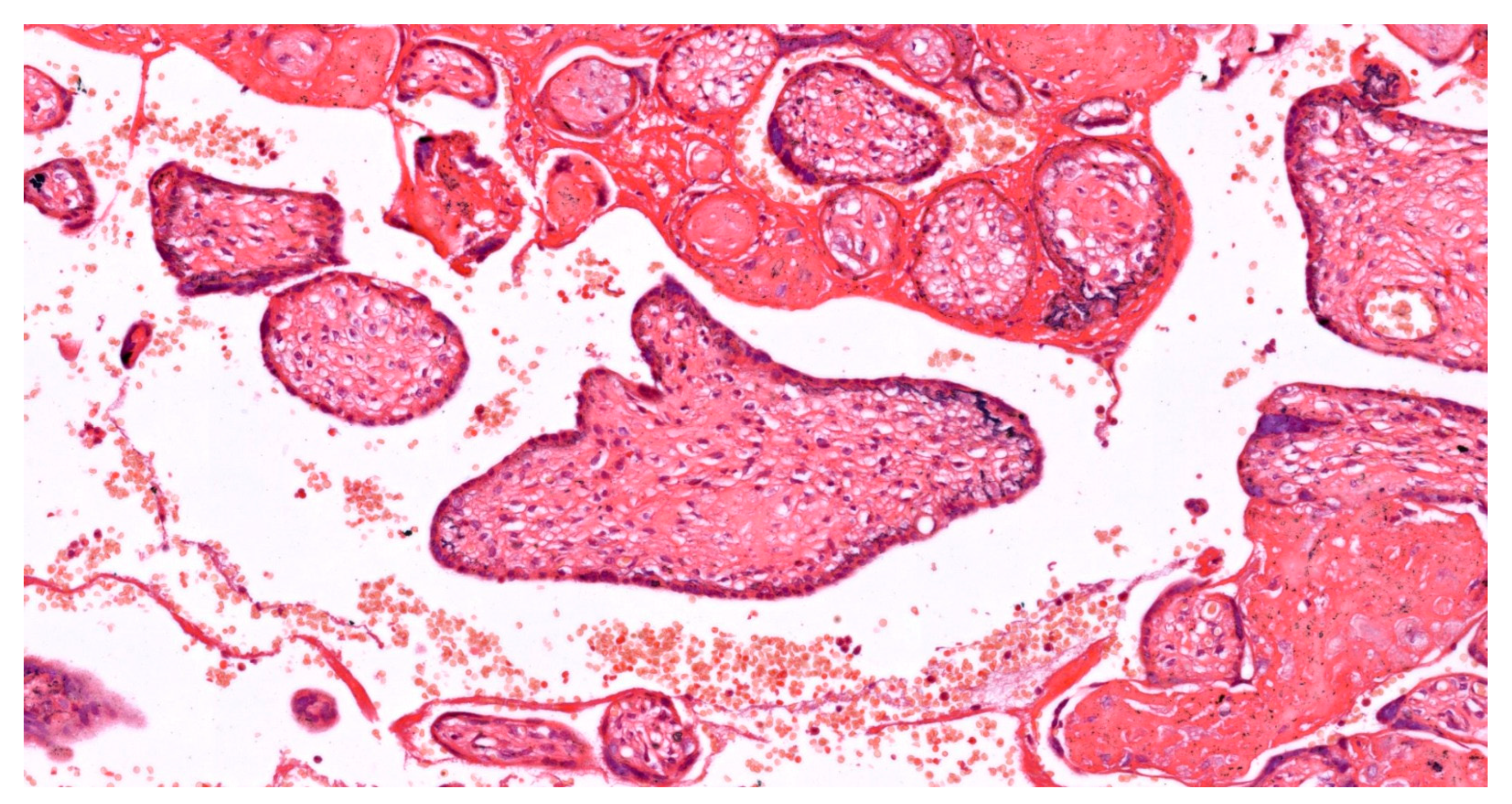 Ijms 25 12195 g002 Ijms 25 12195 g002