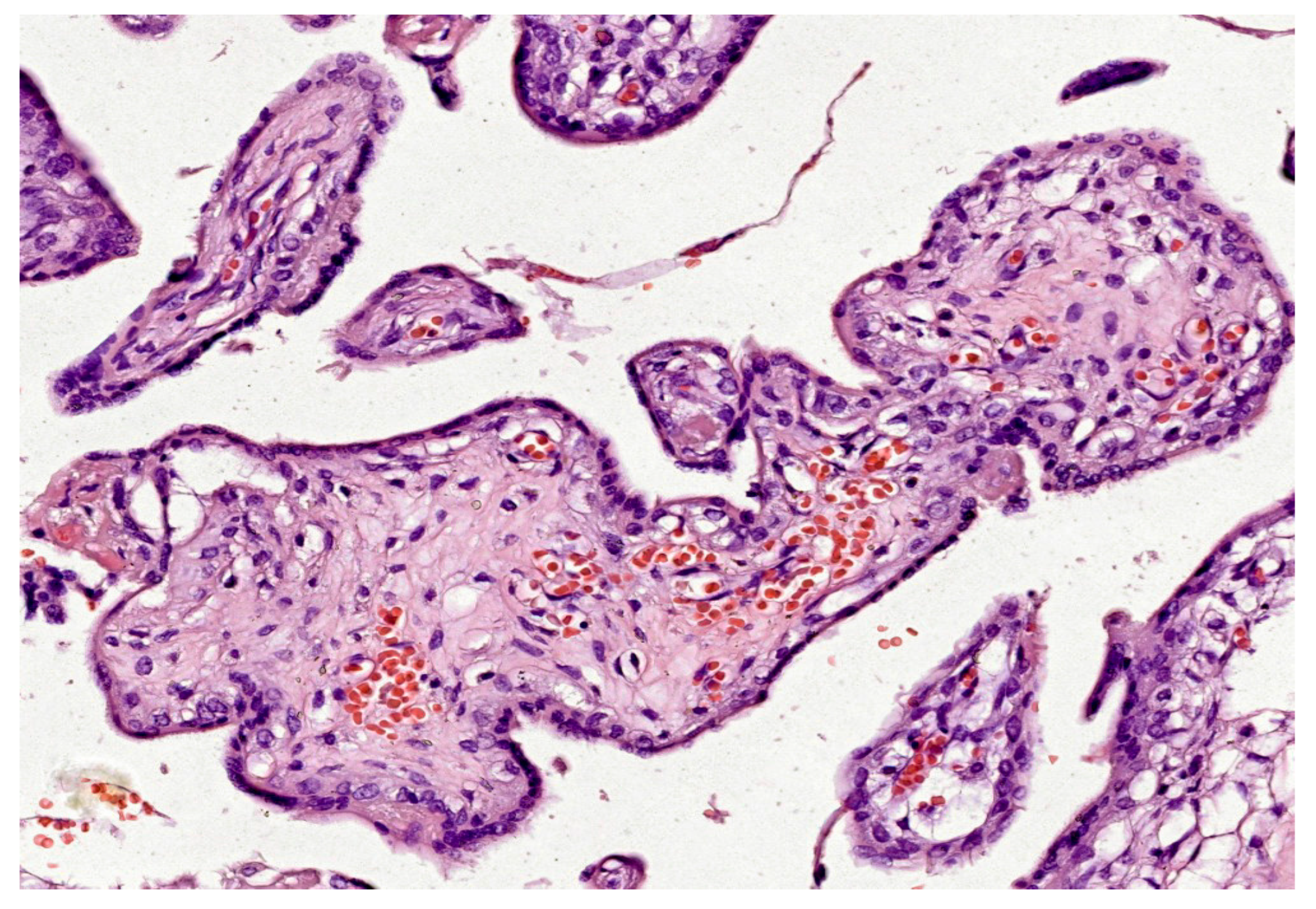 Ijms 25 12195 g003 Ijms 25 12195 g003