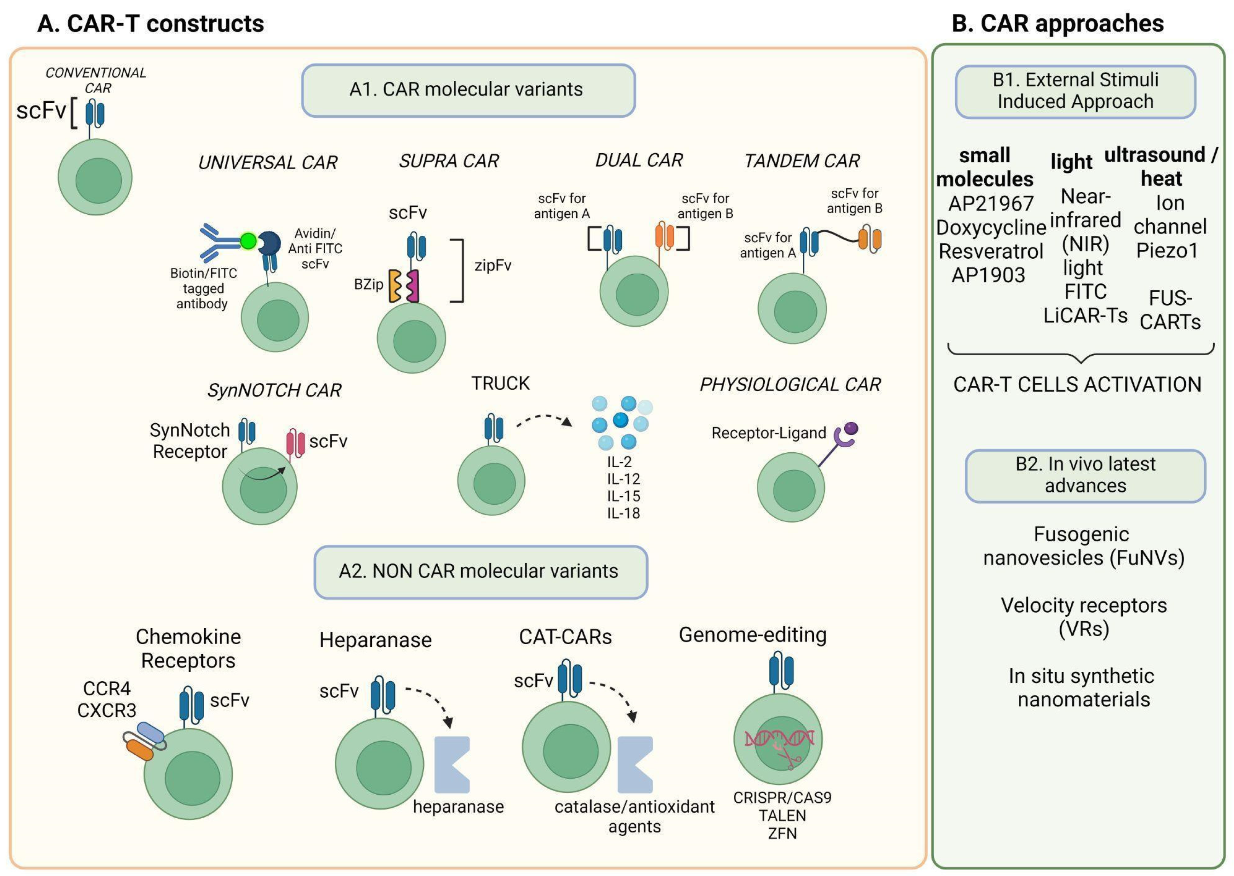 Significant Advancements and Evolutions in Chimeric Antigen