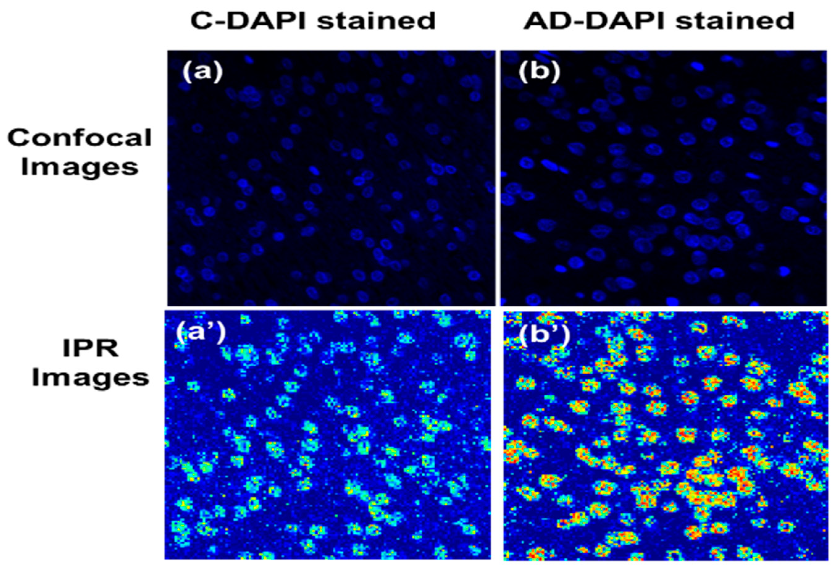 Ijms 25 12211 g003 Ijms 25 12211 g003