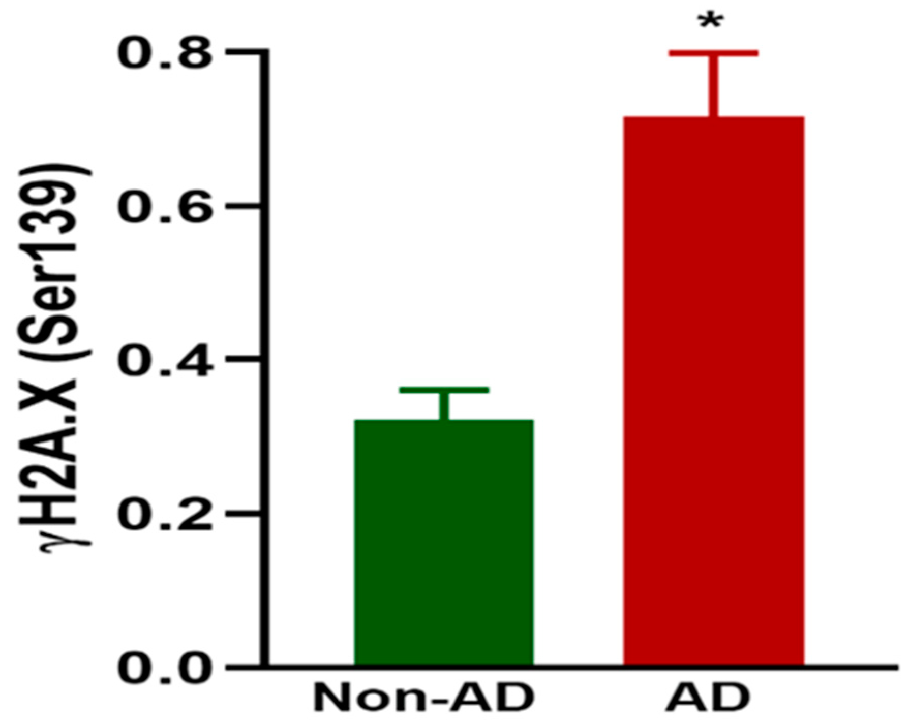 Ijms 25 12211 g006 Ijms 25 12211 g006