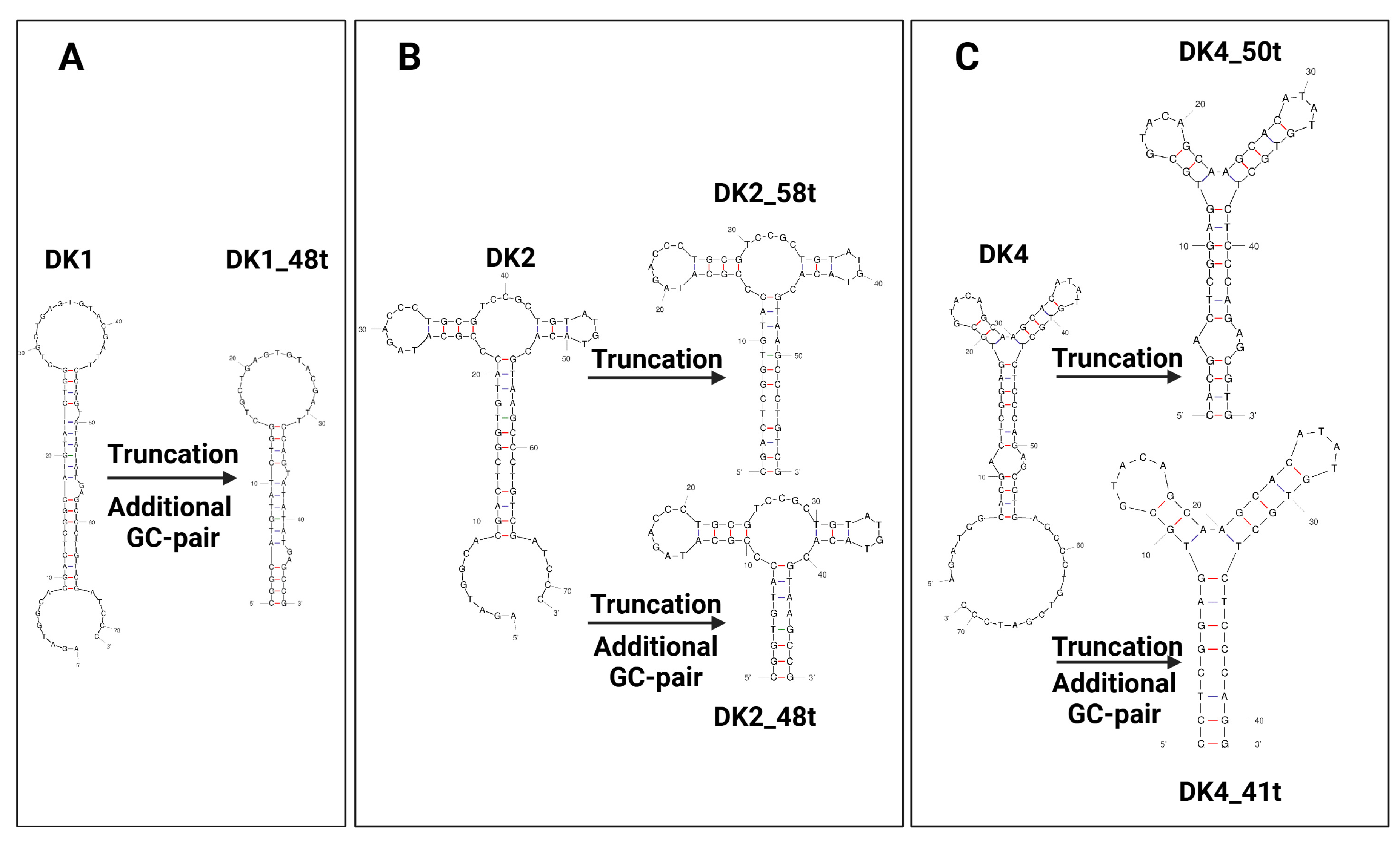 Ijms 25 12214 g004 Ijms 25 12214 g004