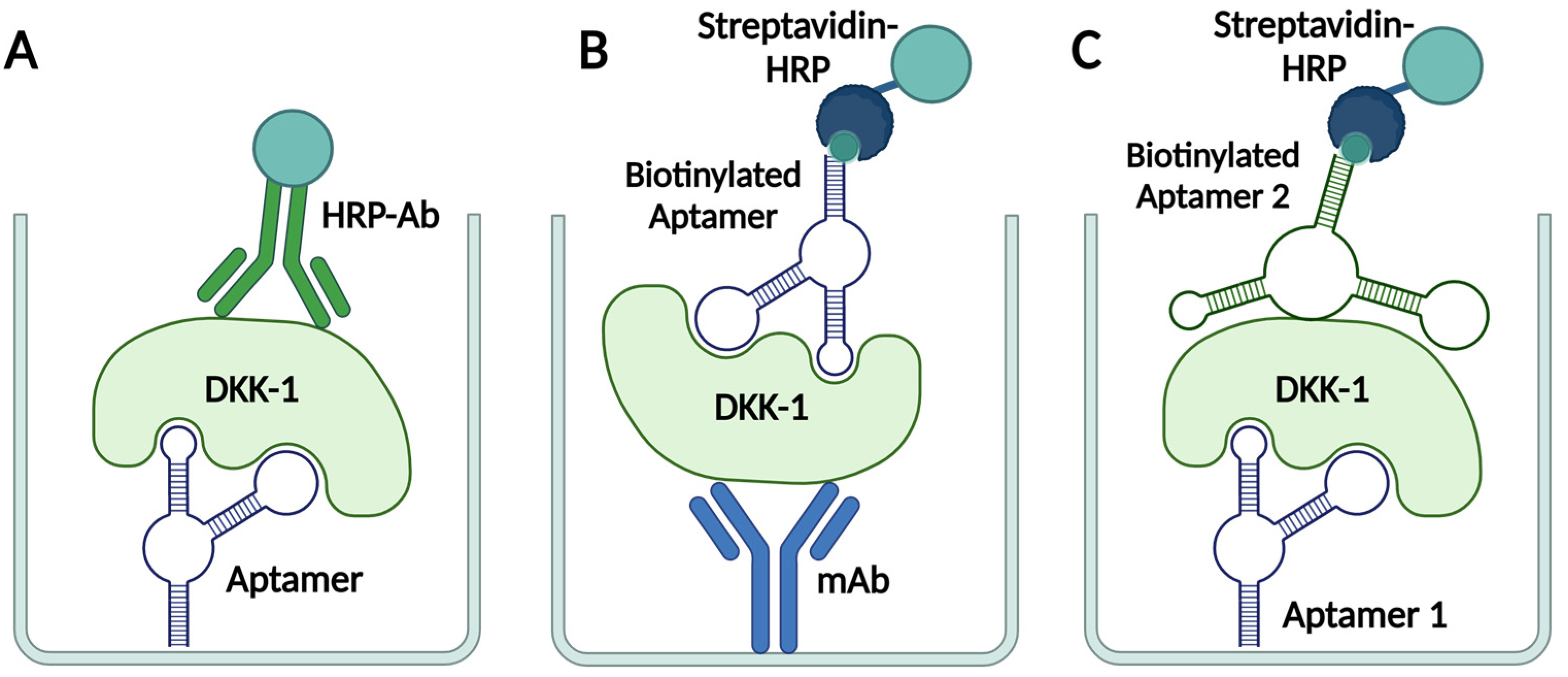 Ijms 25 12214 g006 Ijms 25 12214 g006
