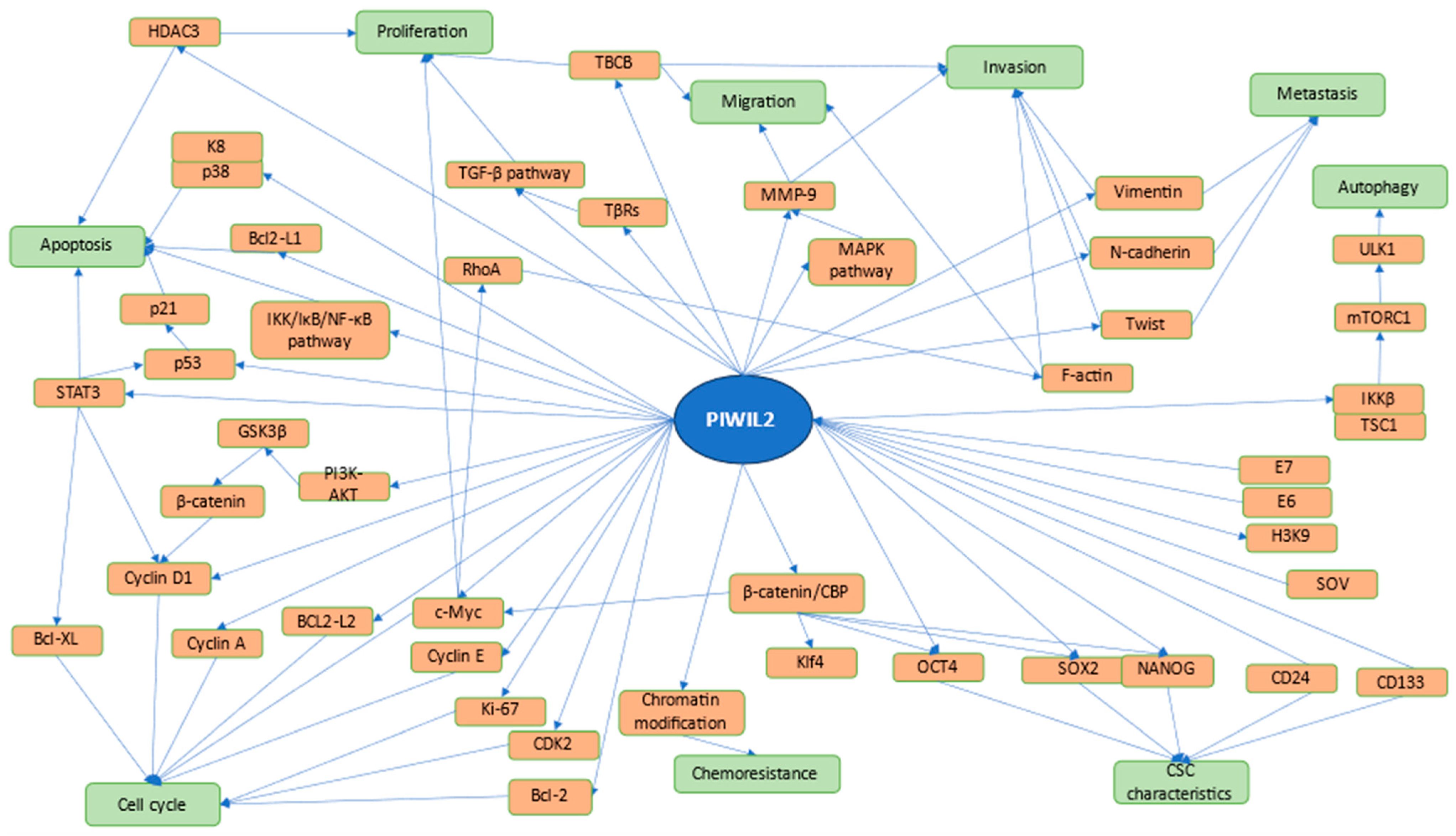 Ijms 25 12217 g002 Ijms 25 12217 g002