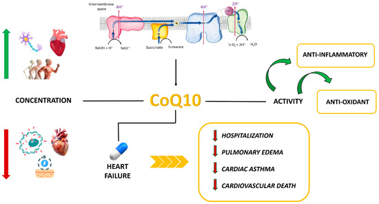 cardiovascular research ltd reduced glutathione powder Nutritional and Nutraceutical Support to the Failing Myocardium: A Possible  Way of Potentiating the Current Treatment of Heart Failure