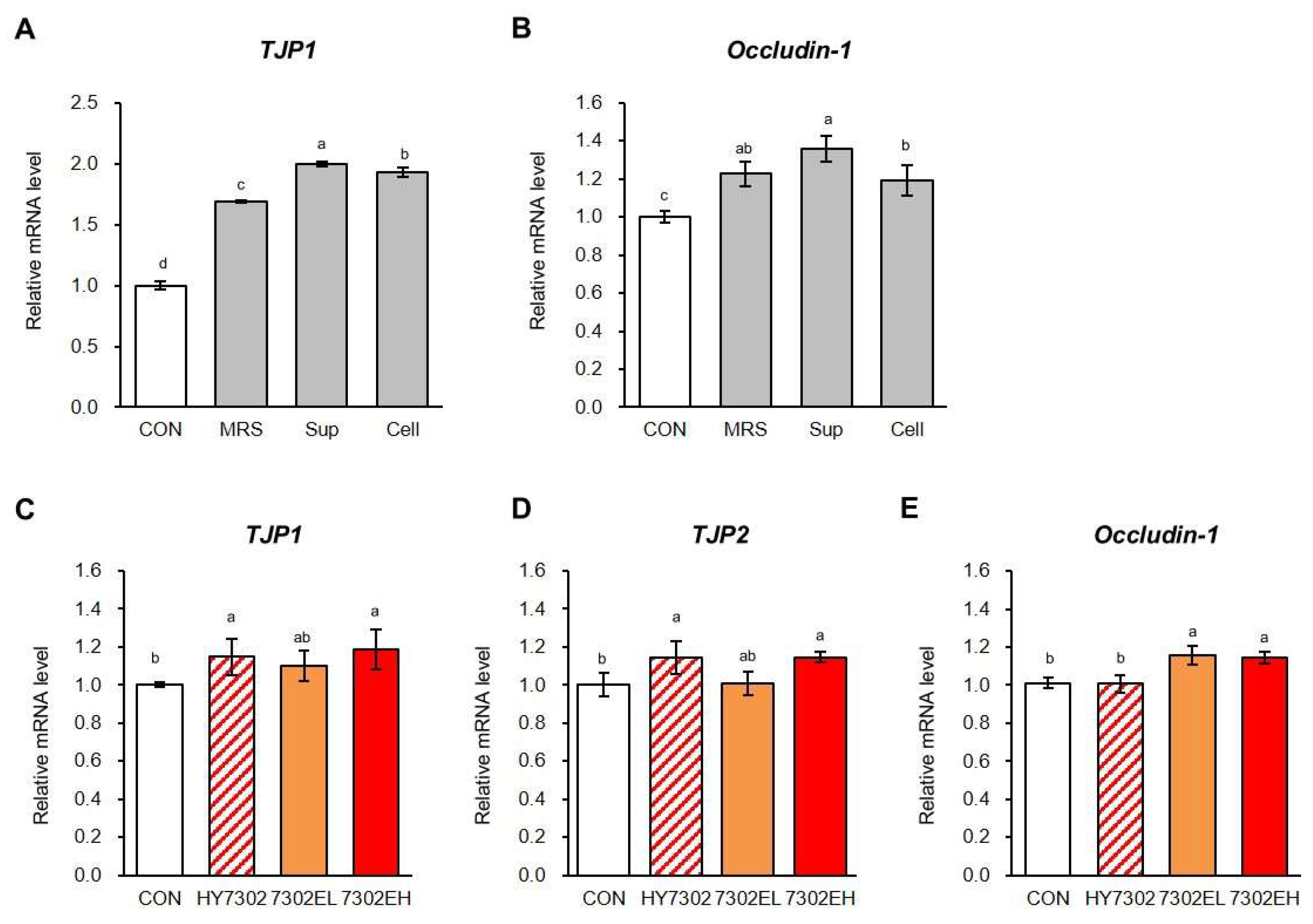 Ijms 25 12282 g004 Ijms 25 12282 g004