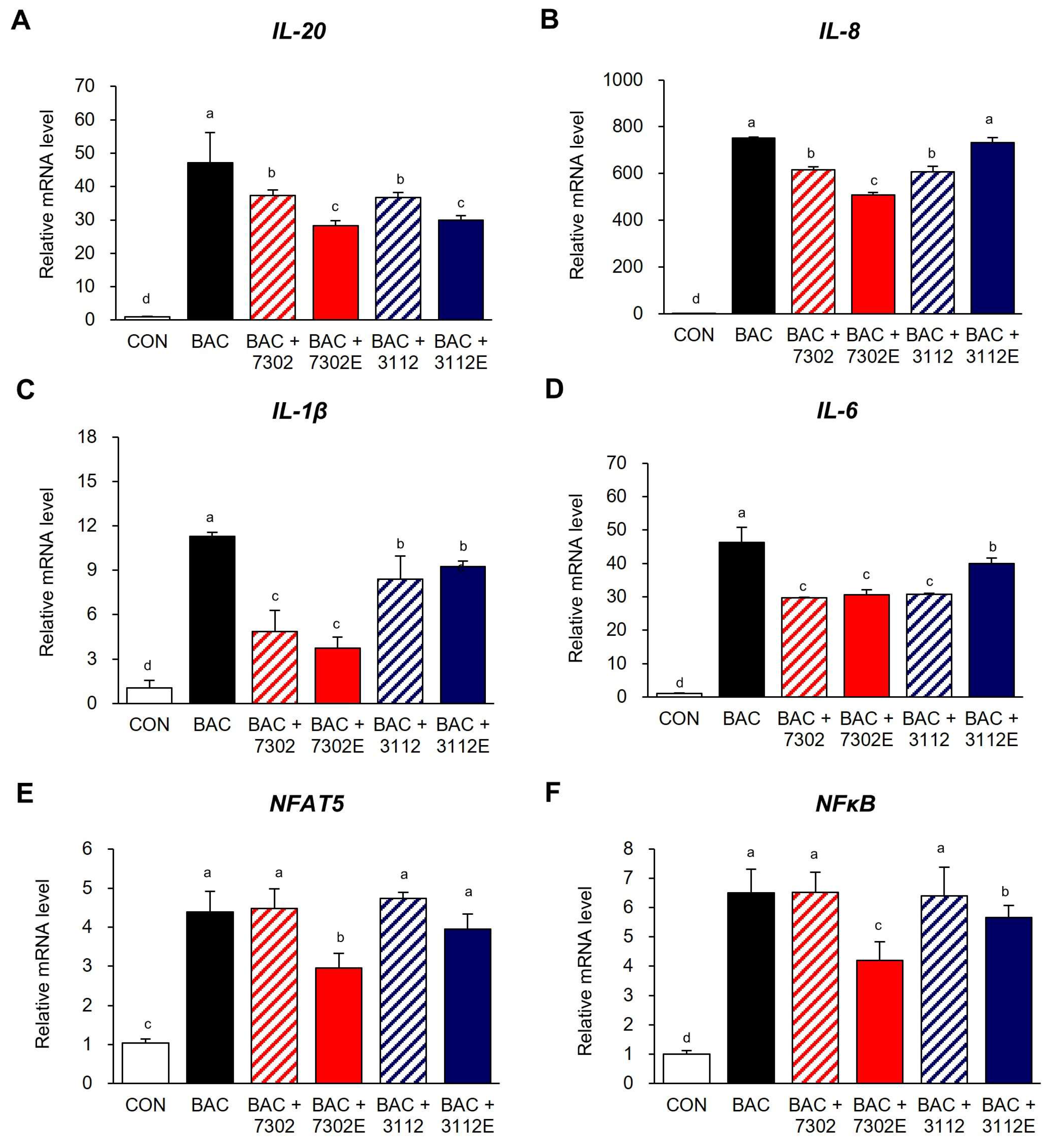 Ijms 25 12282 g005 Ijms 25 12282 g005