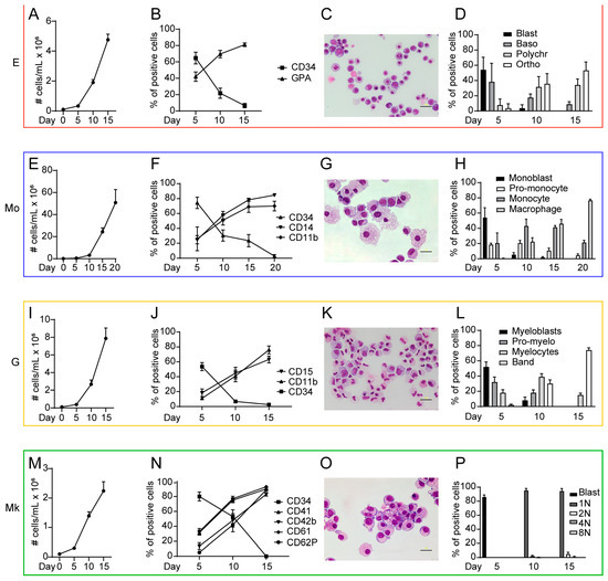 Network Analysis of miRNA and Cytokine Landscape in Human Hematopoiesis