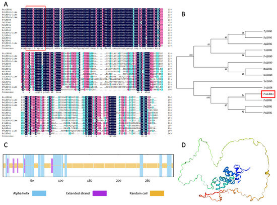 Overexpression Analysis of PtrLBD41 Suggests Its Involvement Overexpression Analysis of PtrLBD41 Suggests Its Involvement