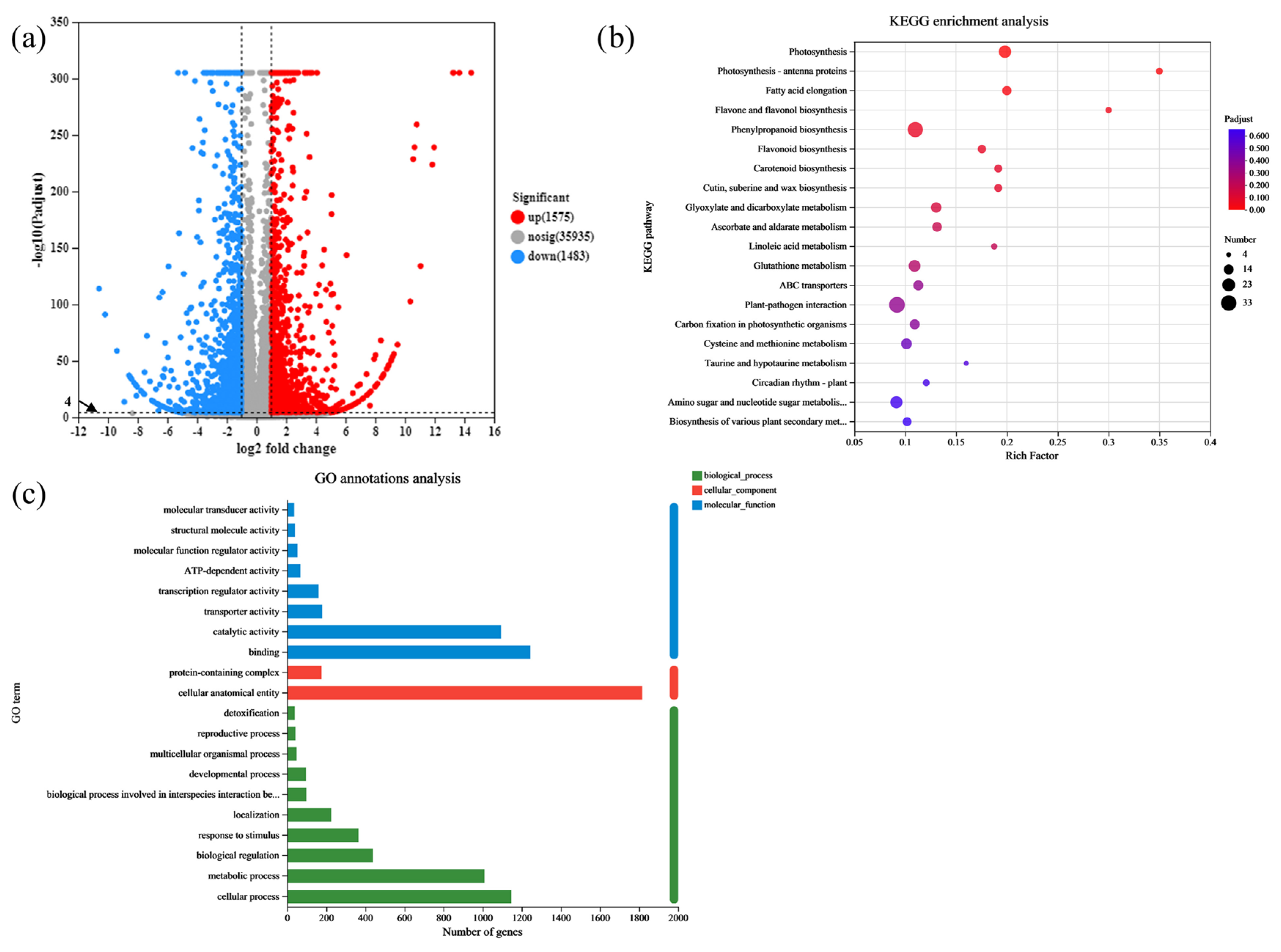 Ijms 25 12382 g005 Ijms 25 12382 g005