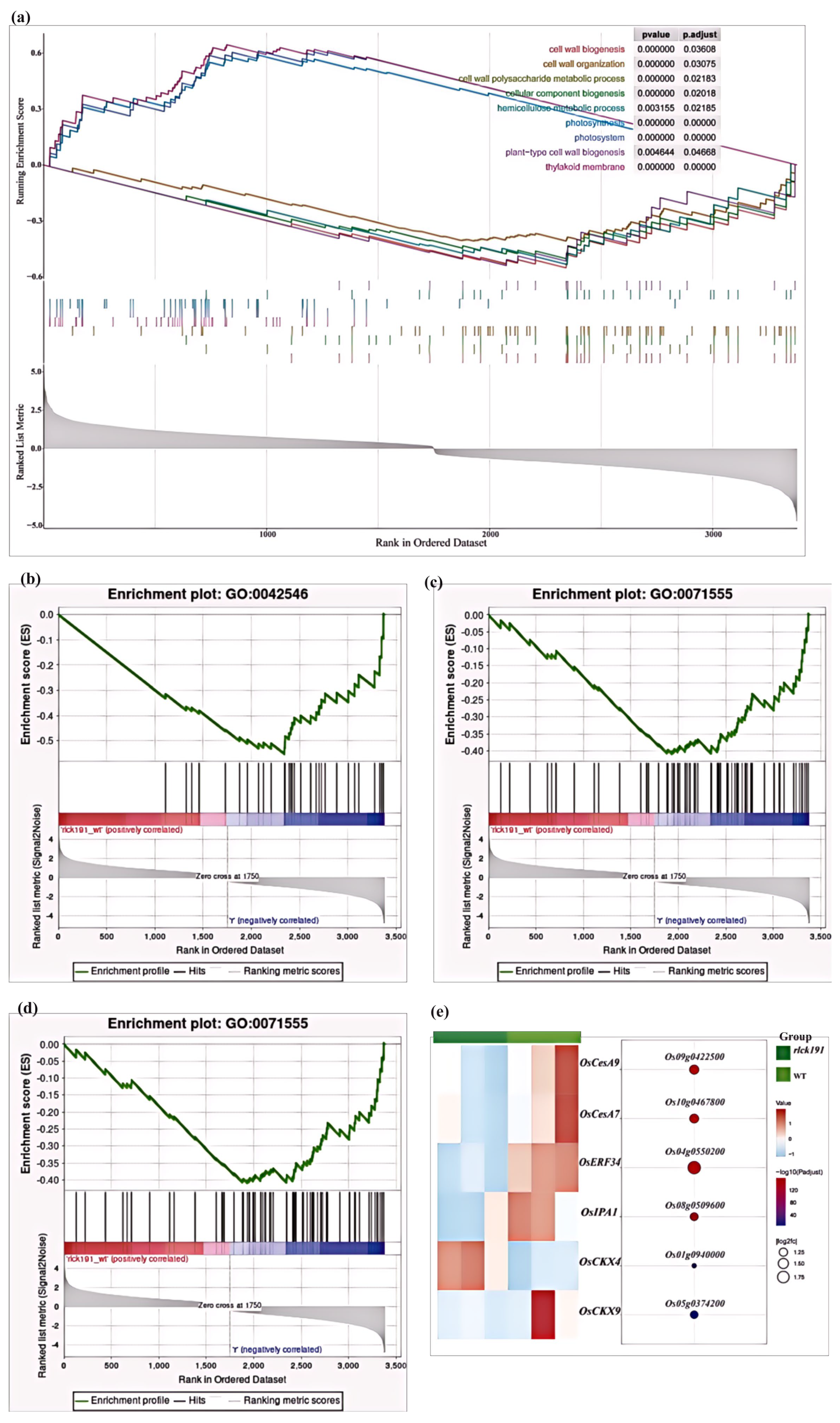 Ijms 25 12382 g007 Ijms 25 12382 g007