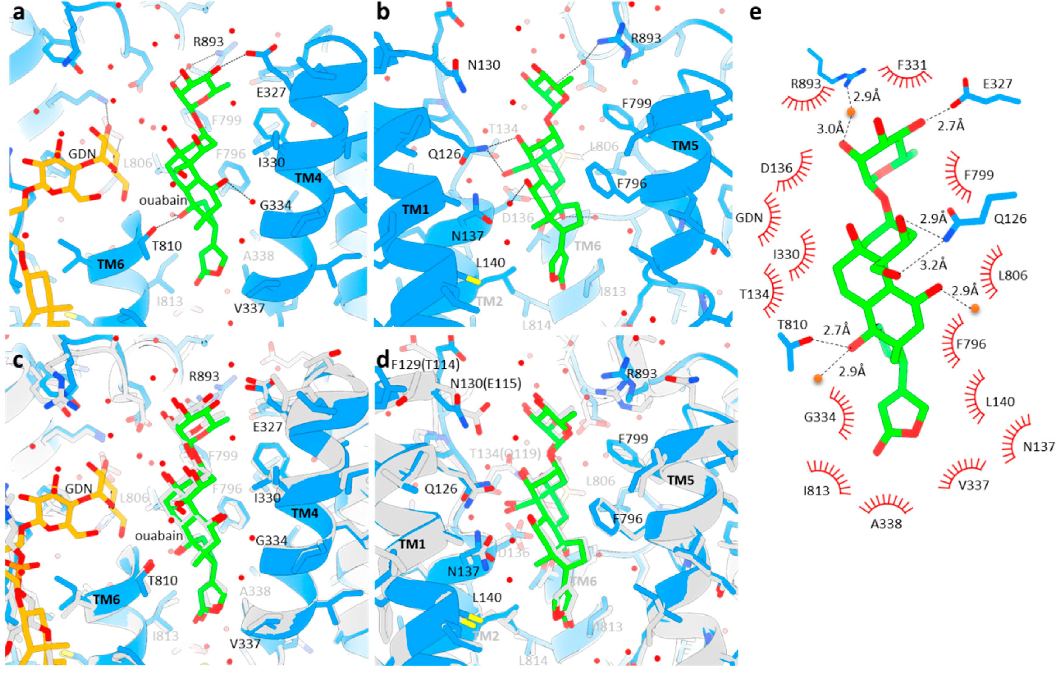 Ijms 25 12397 g002 Ijms 25 12397 g002