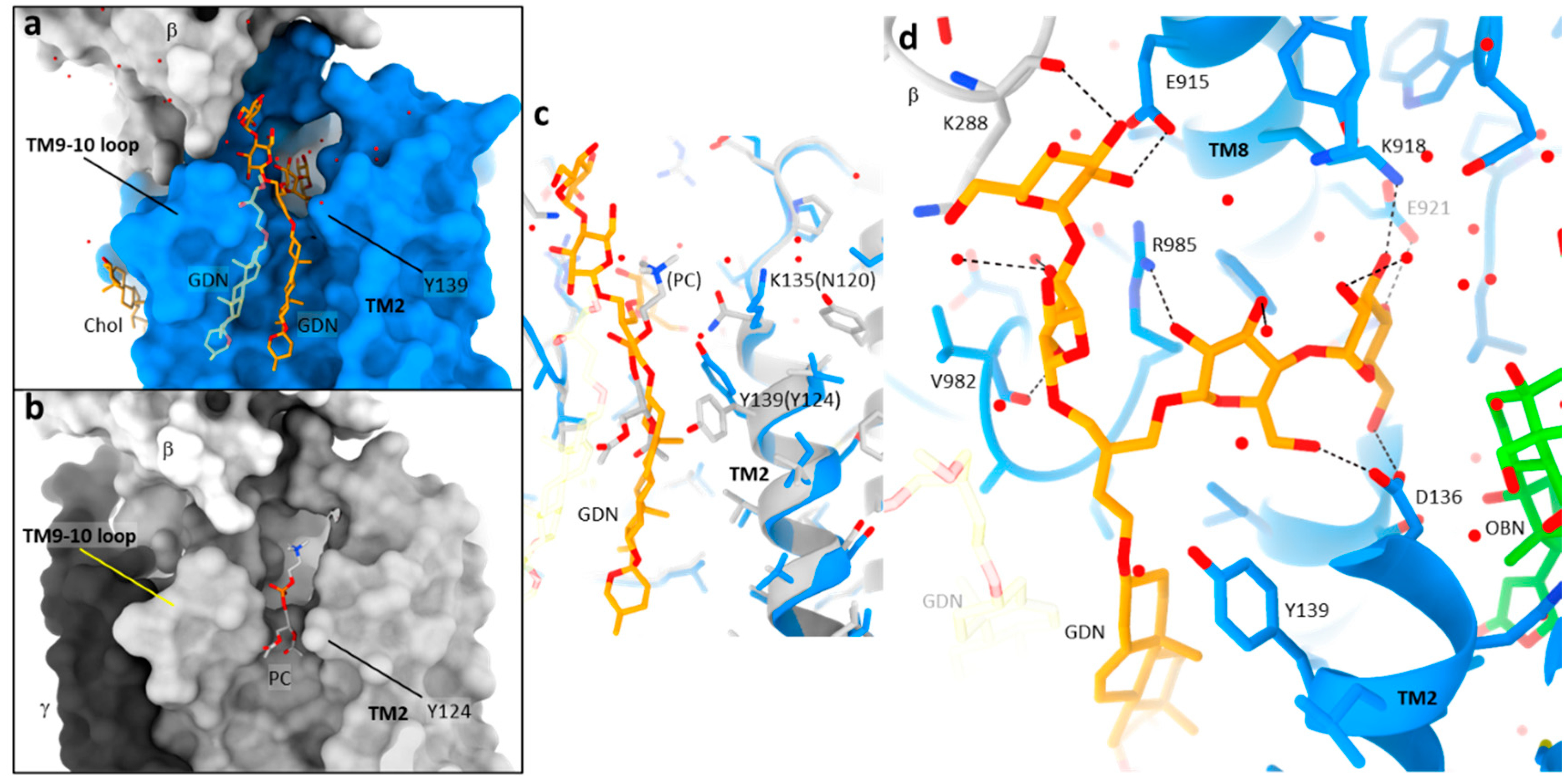 Ijms 25 12397 g003 Ijms 25 12397 g003