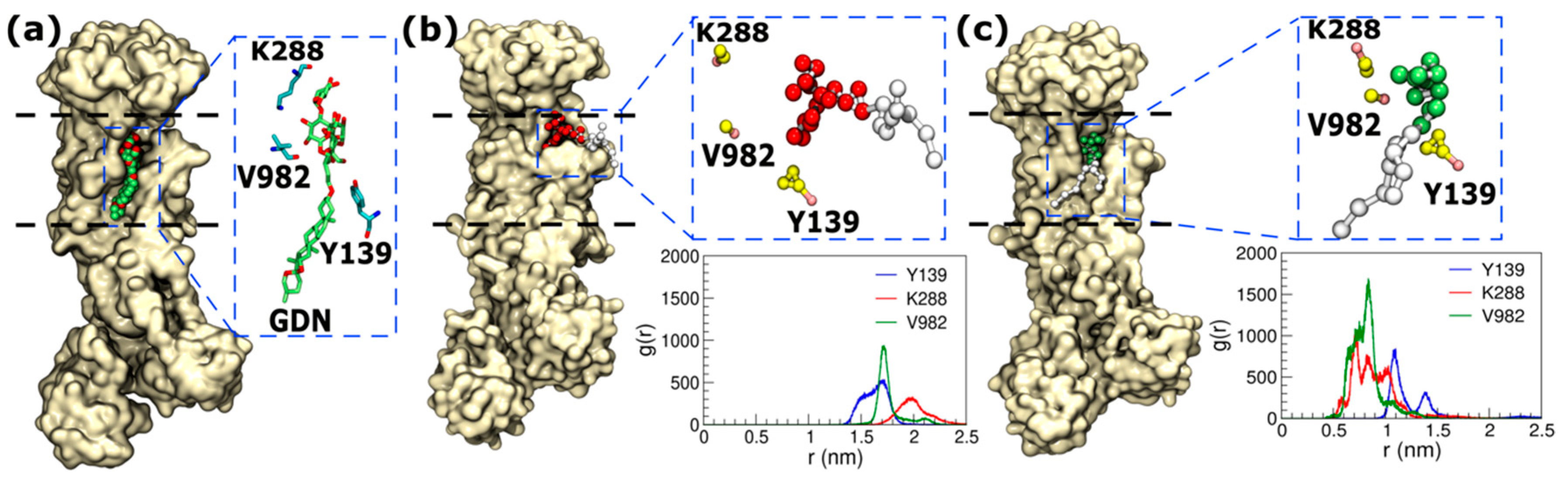 Ijms 25 12397 g004 Ijms 25 12397 g004