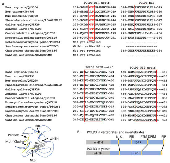 yamada Adipose Stromal Cell Heterogeneity and Trafficking