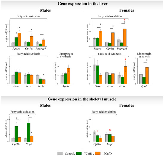 Age of Cafeteria Diet Onset Influences Obesity Phenotype in Mice in a ...
