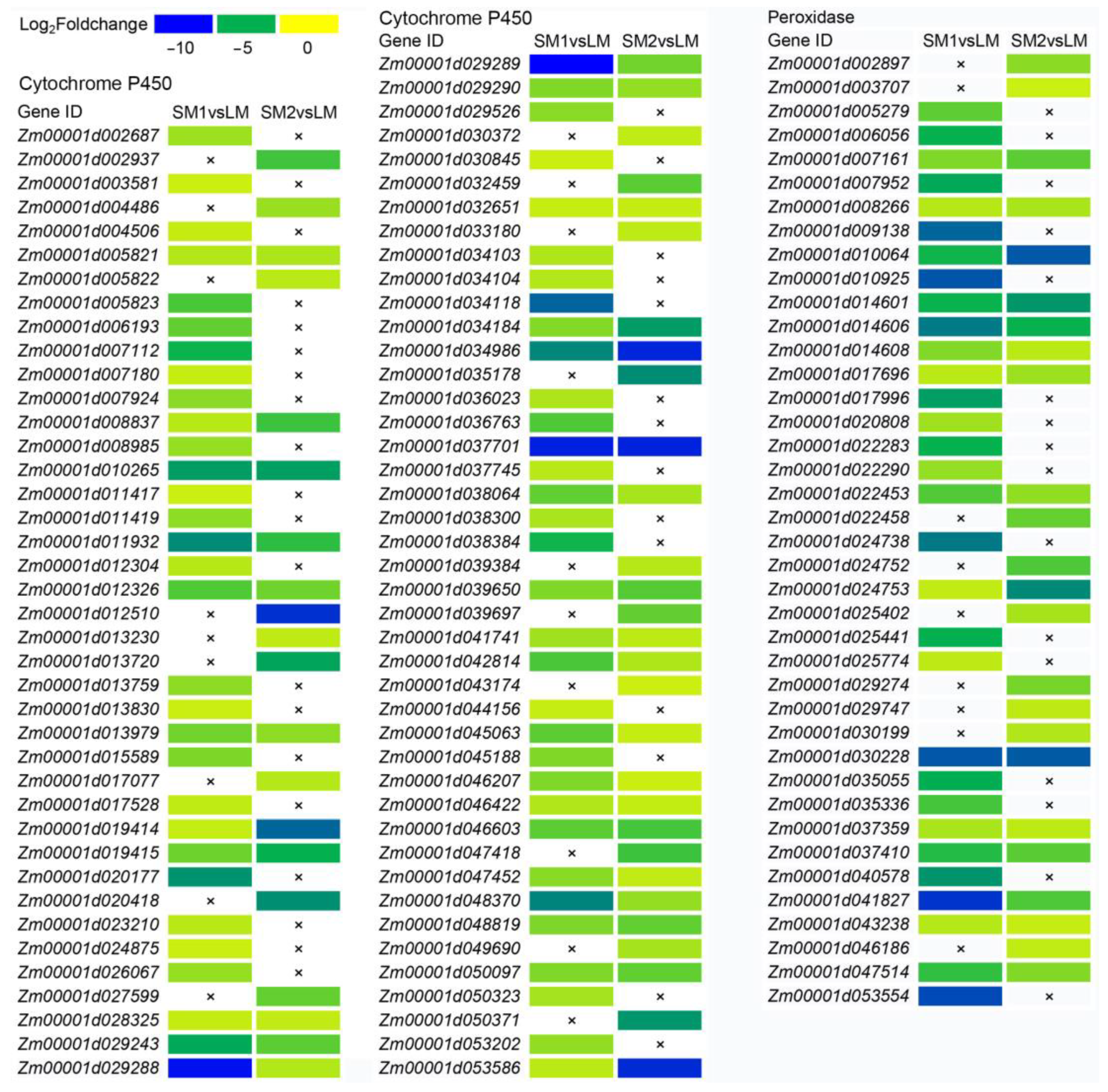 Ijms 25 12437 g003 Ijms 25 12437 g003