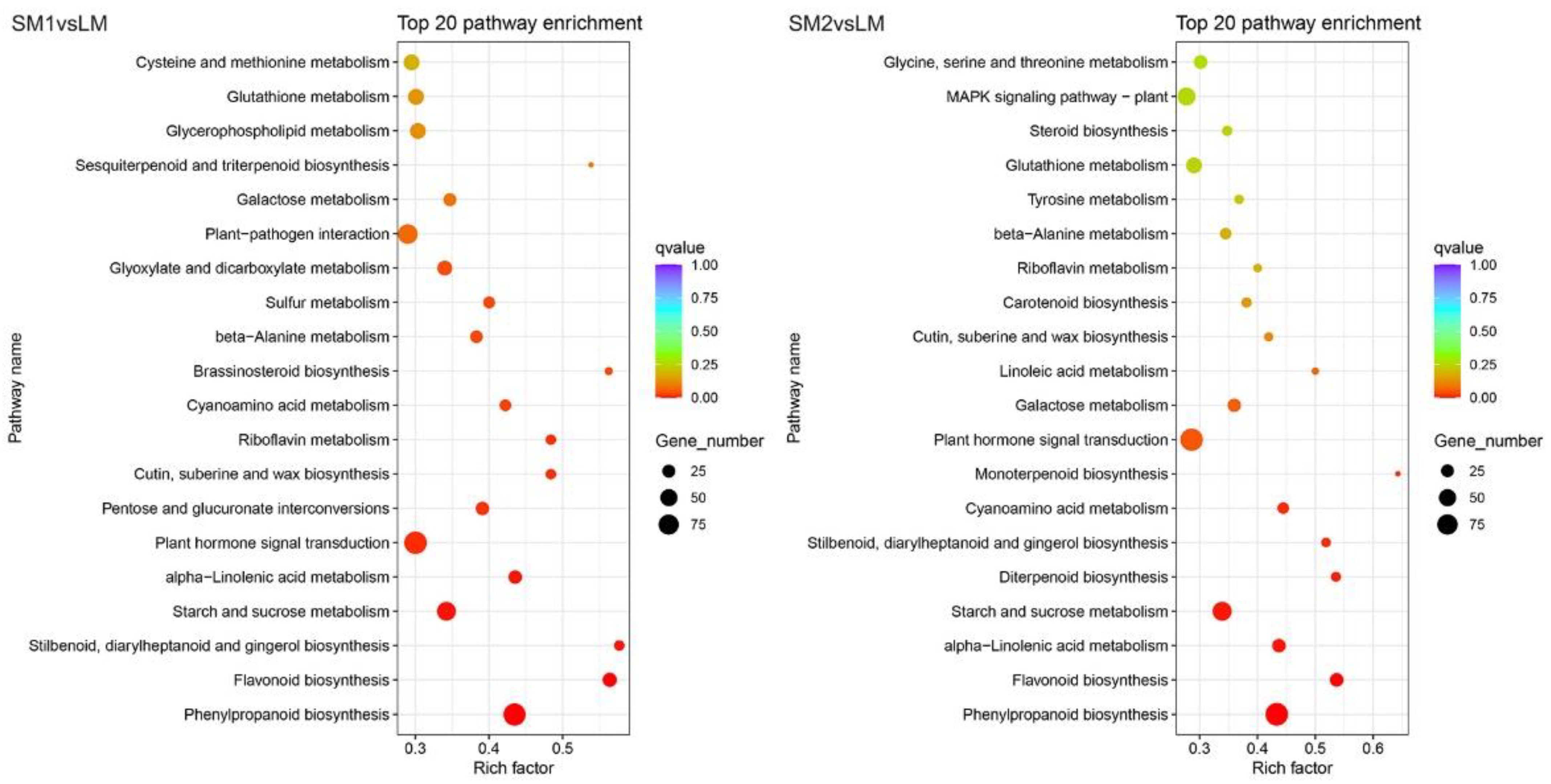 Ijms 25 12437 g004 Ijms 25 12437 g004