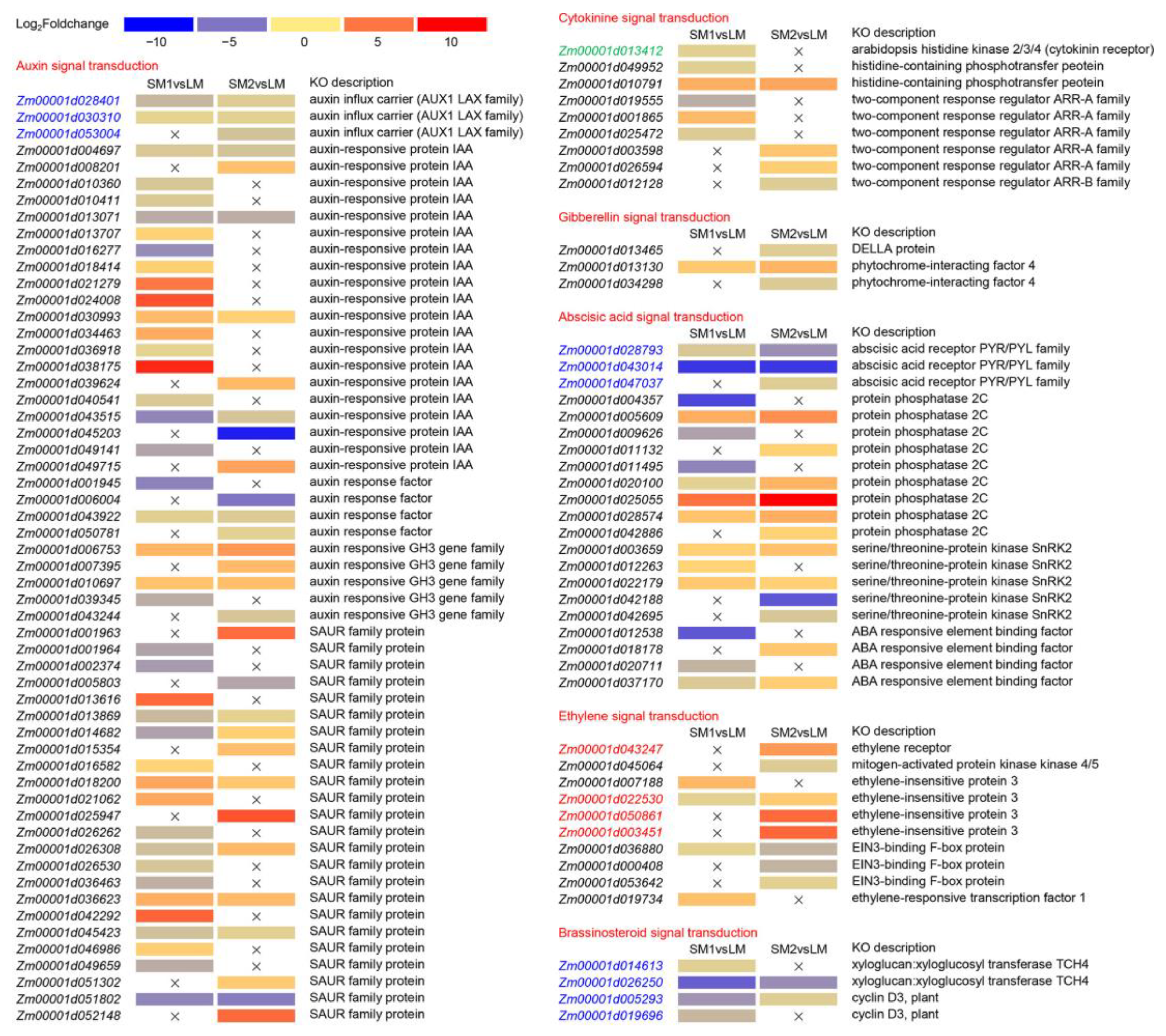 Ijms 25 12437 g005 Ijms 25 12437 g005