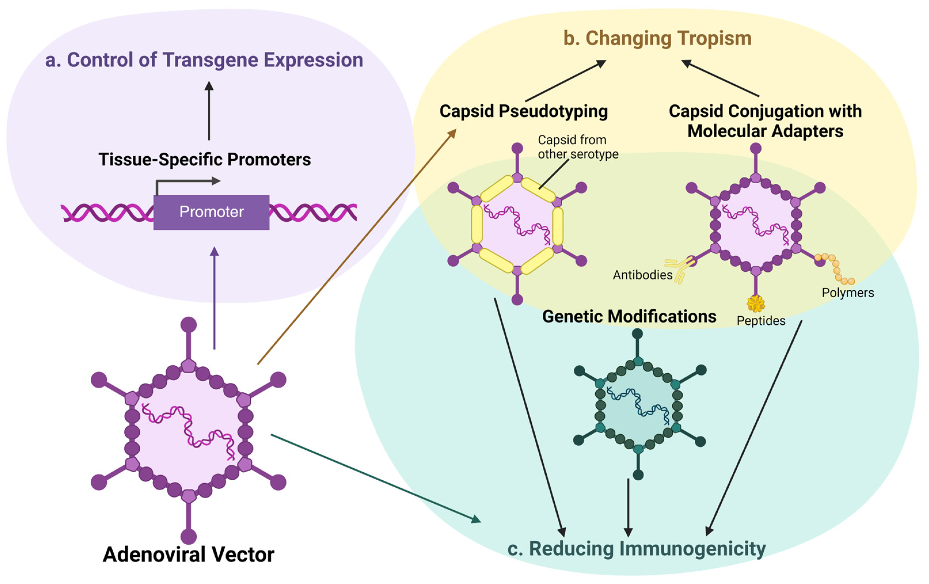 Ijms 25 12461 g002 Ijms 25 12461 g002