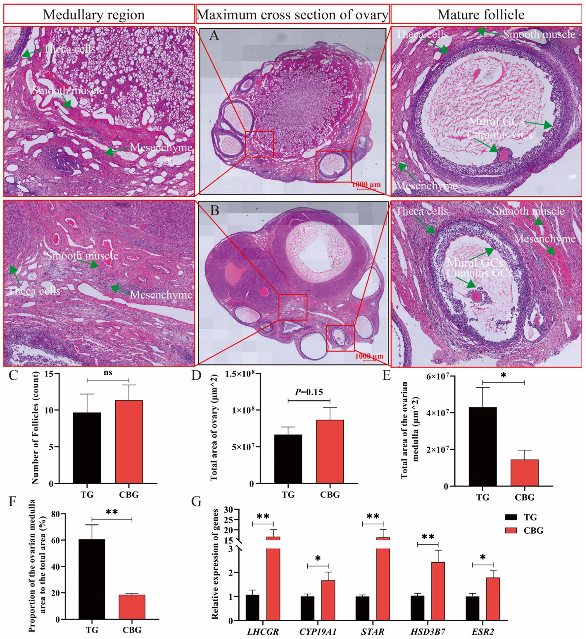 Ijms 25 12466 g001 Ijms 25 12466 g001