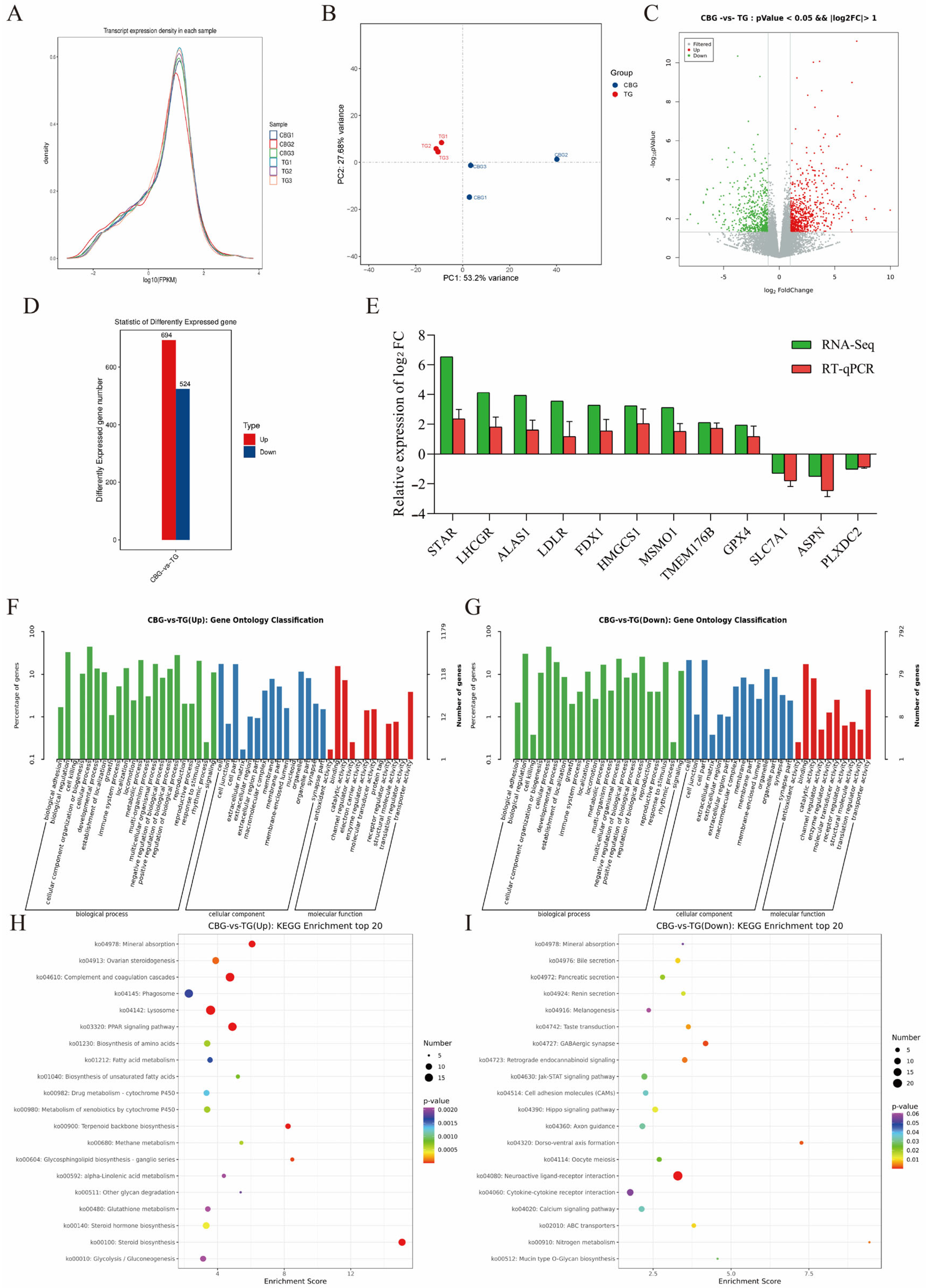 Ijms 25 12466 g002 Ijms 25 12466 g002