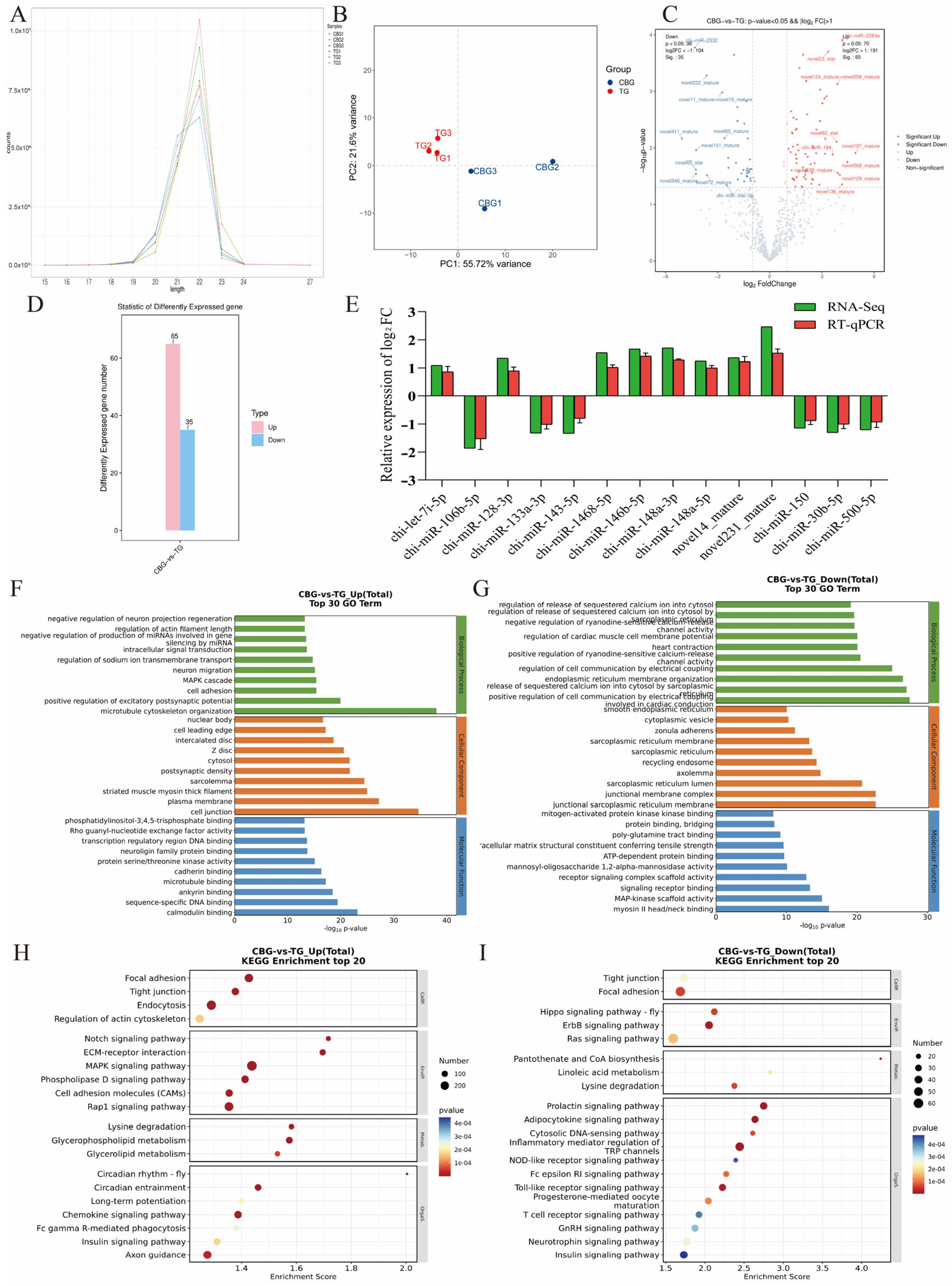 Ijms 25 12466 g003 Ijms 25 12466 g003