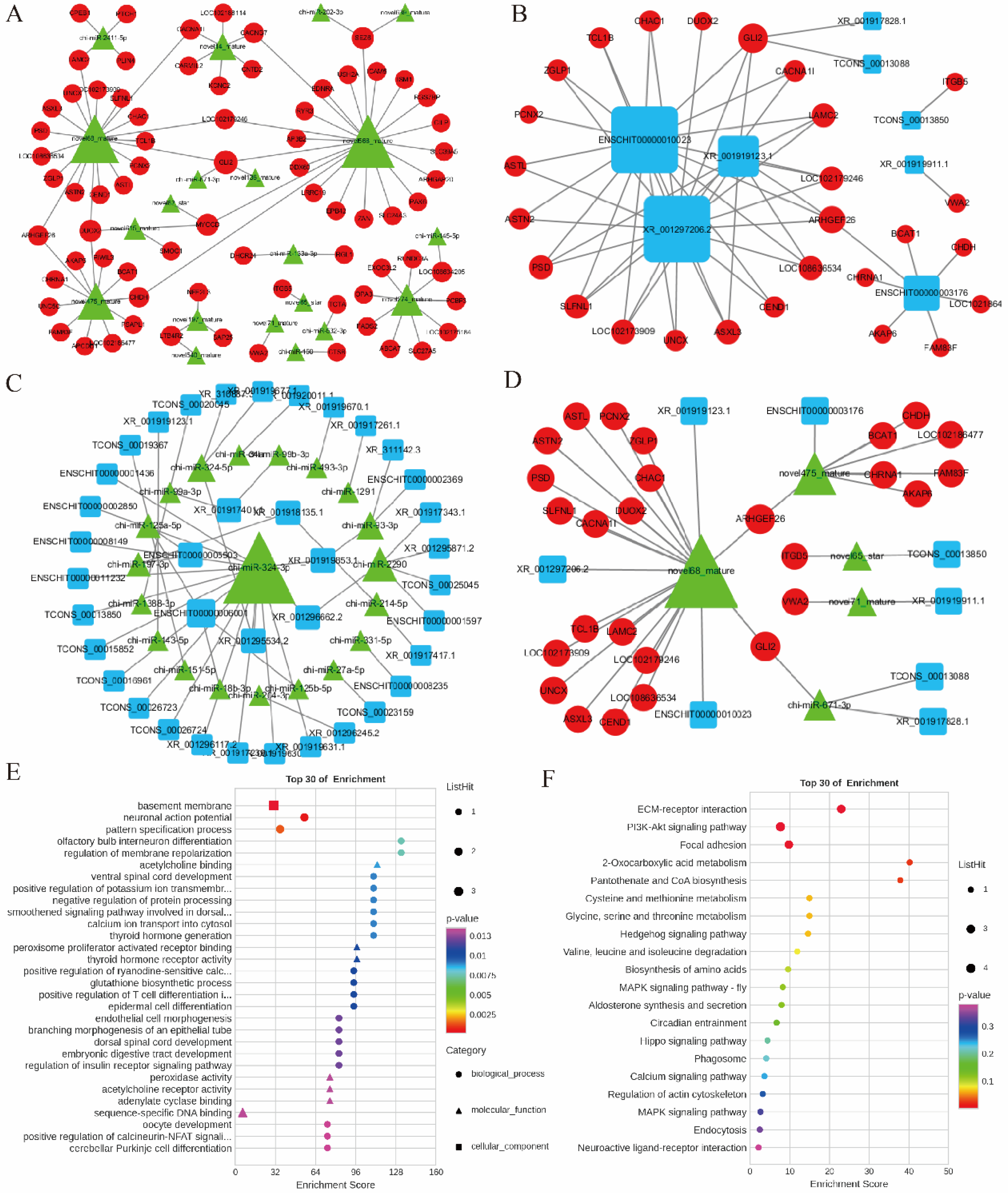 Ijms 25 12466 g006 Ijms 25 12466 g006