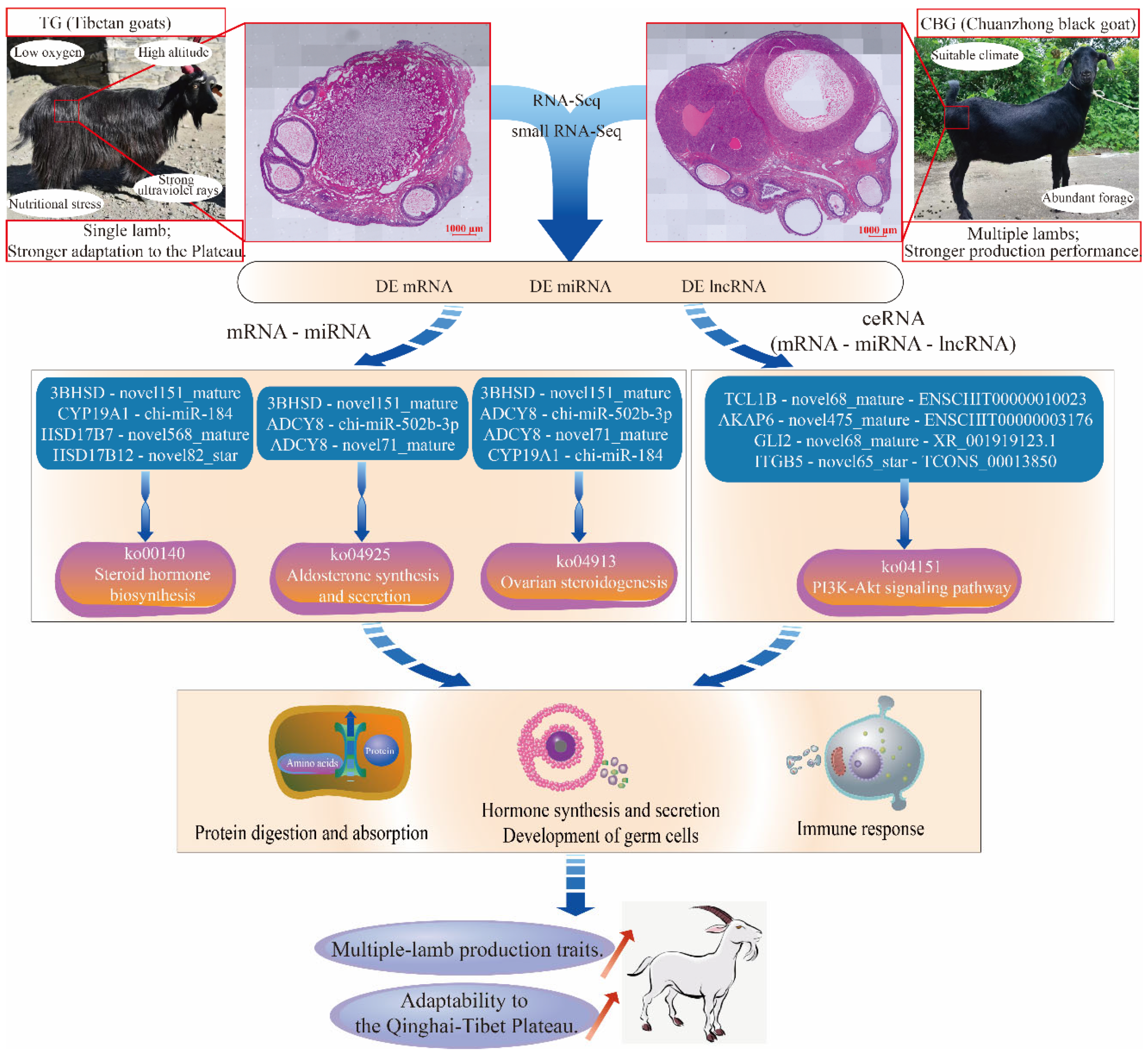 Ijms 25 12466 g007 Ijms 25 12466 g007